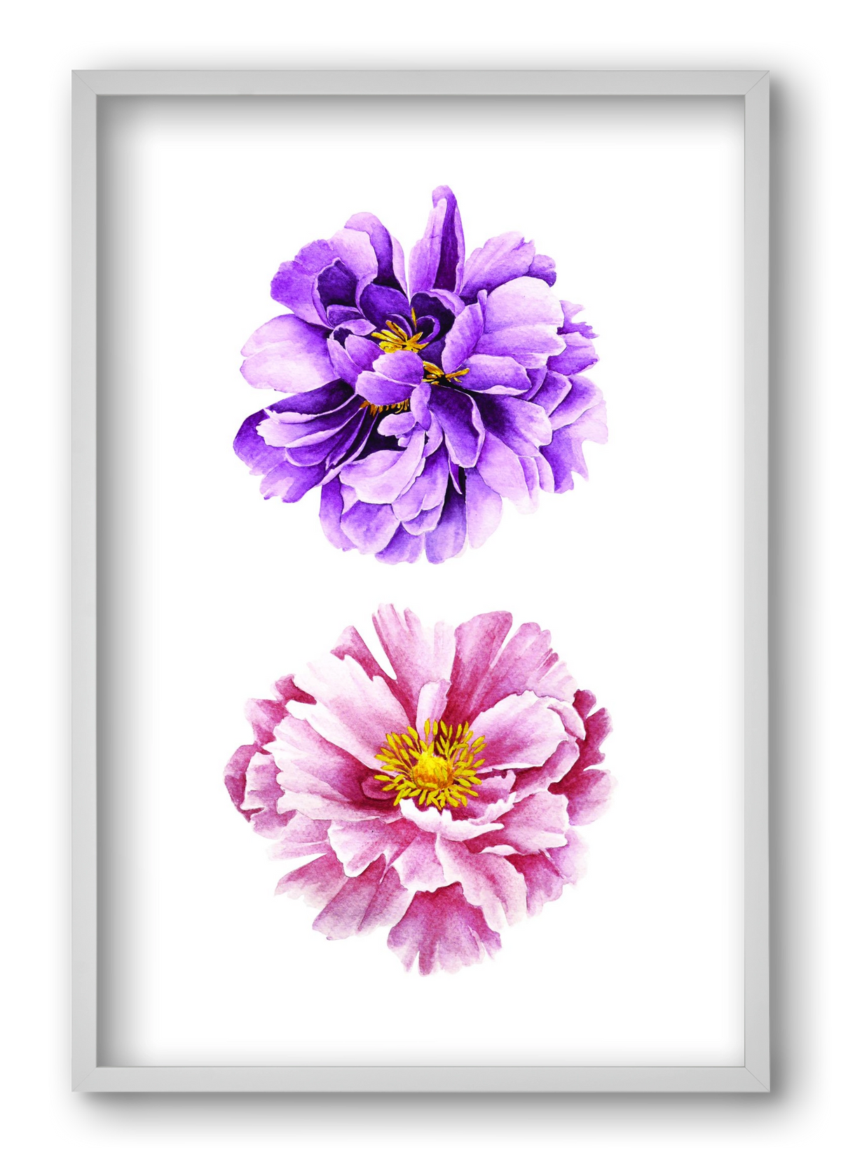 peonies, 40x60 cm (40x60 cm), Fehér keret