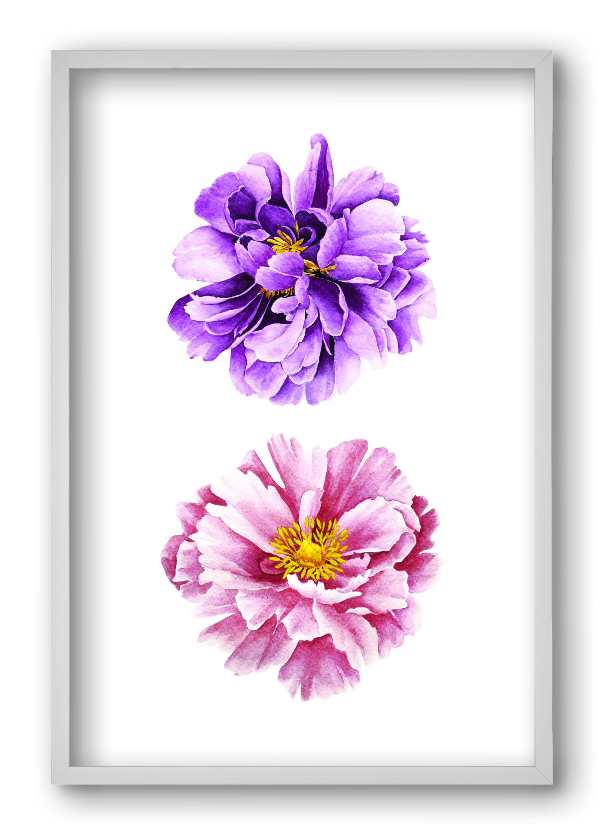 peonies, 40x60 cm (40x60 cm), Fehér keret