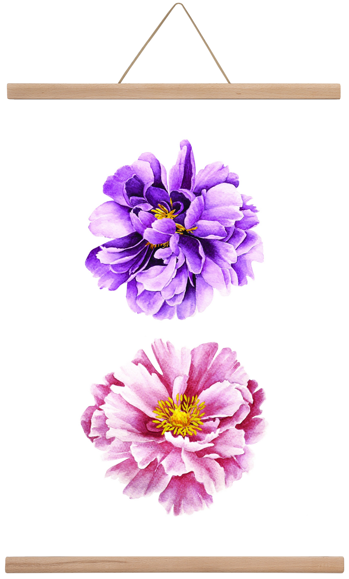 peonies, 40x60 cm (40x60 cm), Tölgy akasztó