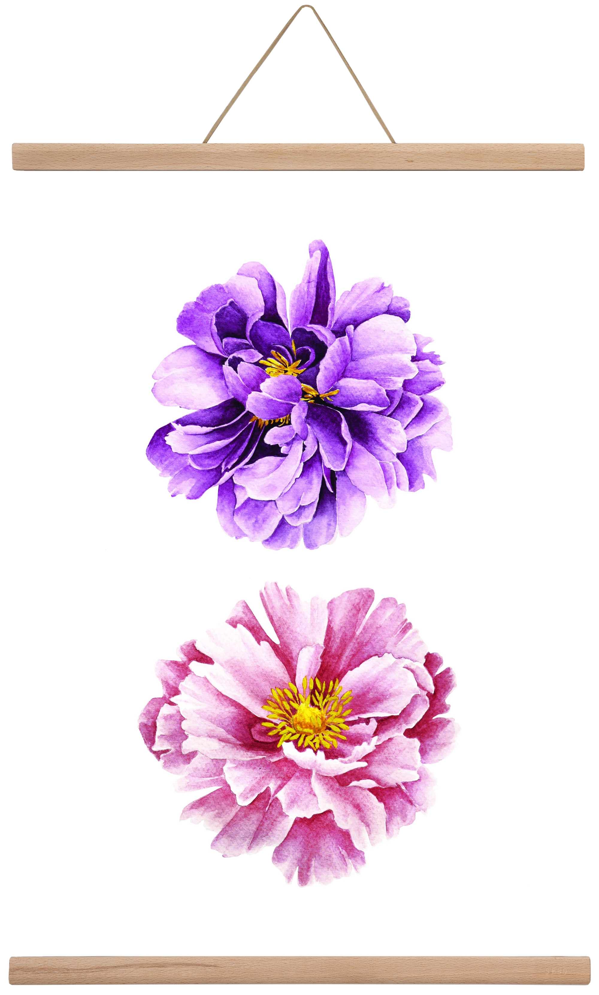 peonies, 40x60 cm (40x60 cm), Tölgy akasztó