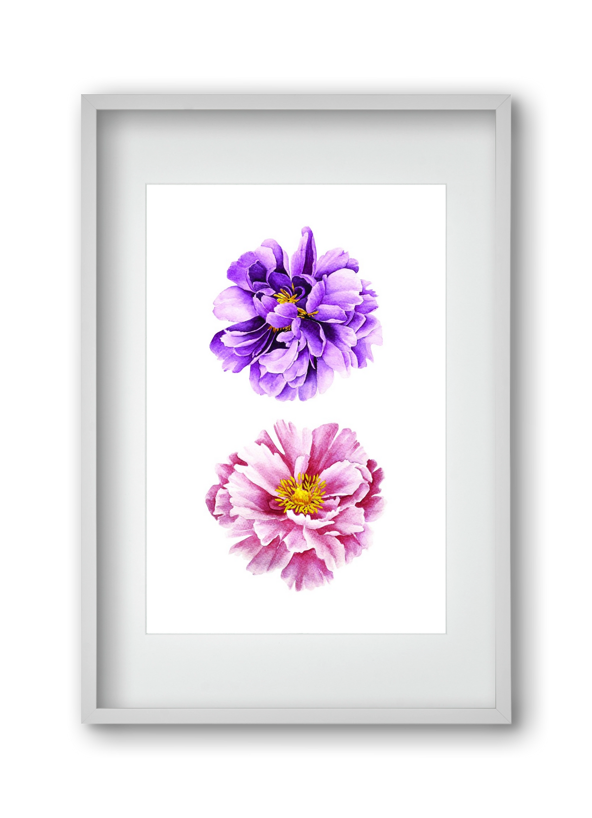 peonies, 30x45 cm (20x30 cm), Fehér keret, paszpartuval