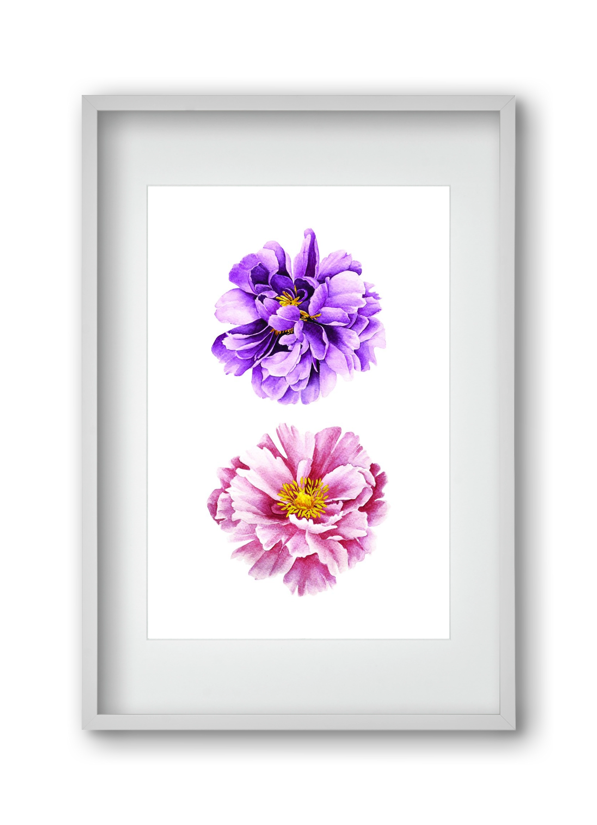 peonies, 30x45 cm (20x30 cm), Fehér keret, paszpartuval