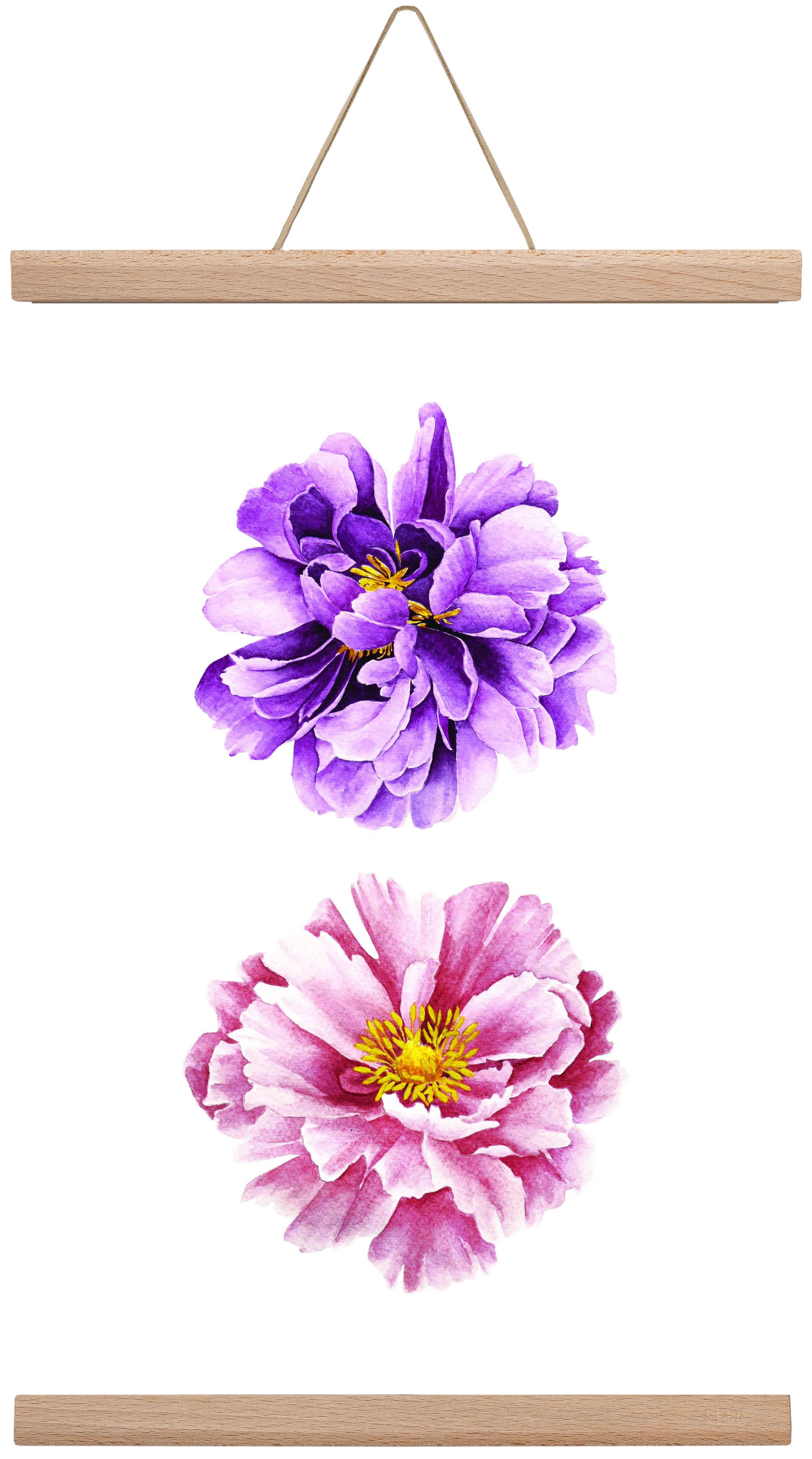 peonies, 30x45 cm (30x45 cm), Tölgy akasztó