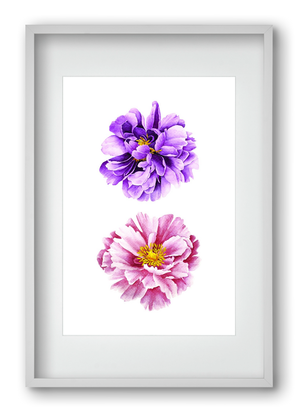 peonies, 40x60 cm (30x45 cm), Fehér keret, paszpartuval