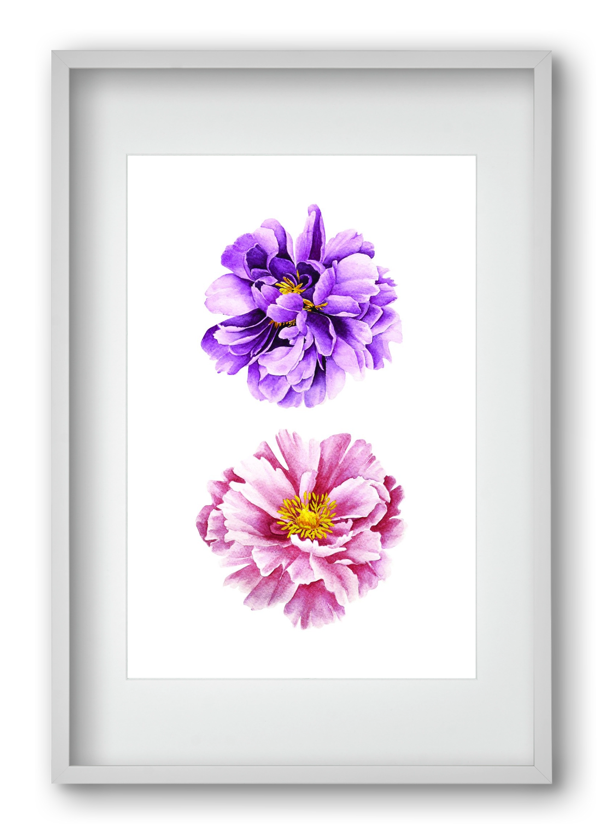 peonies, 40x60 cm (30x45 cm), Fehér keret, paszpartuval