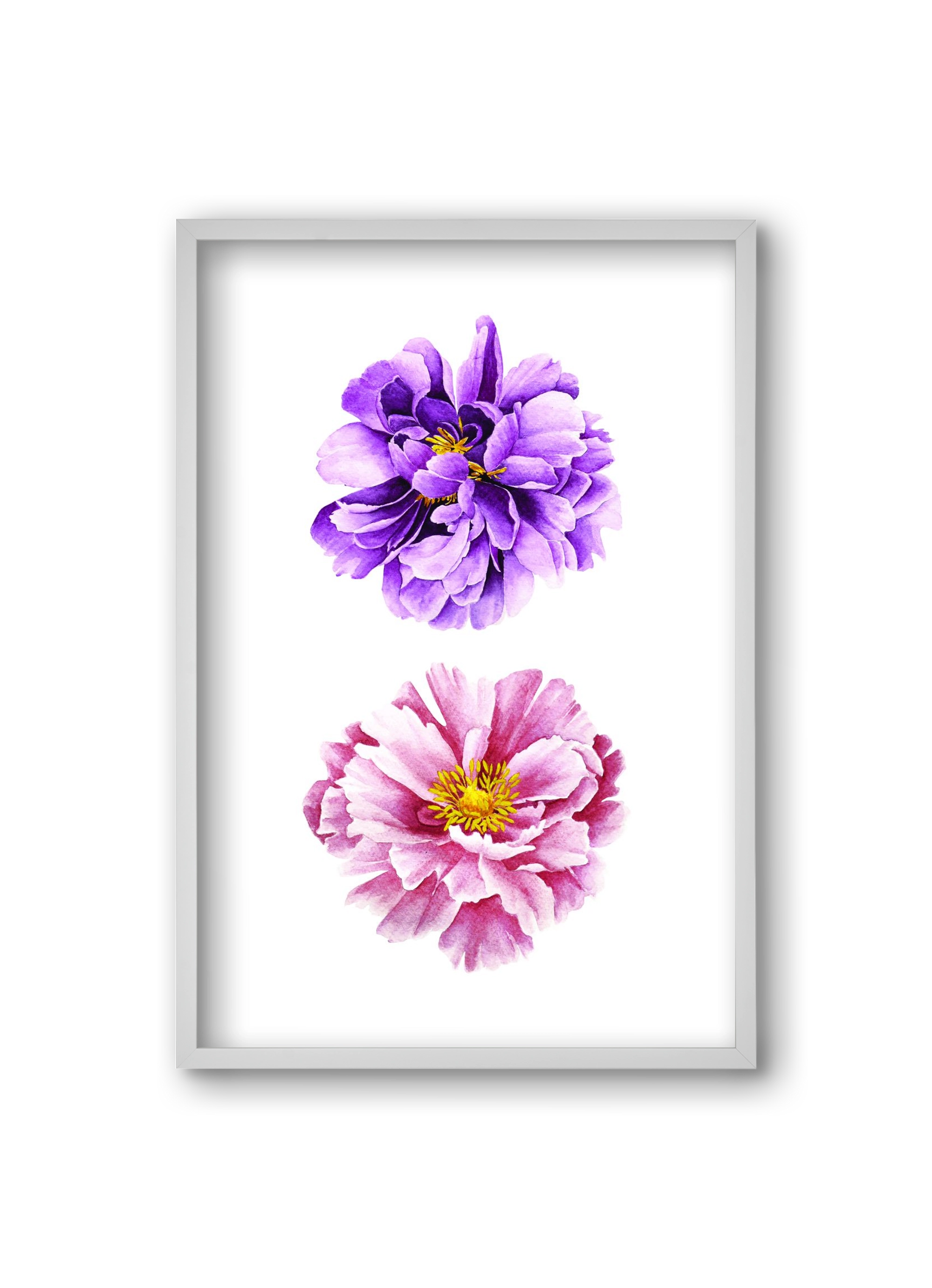 peonies, 20x30 cm (20x30 cm), Fehér keret