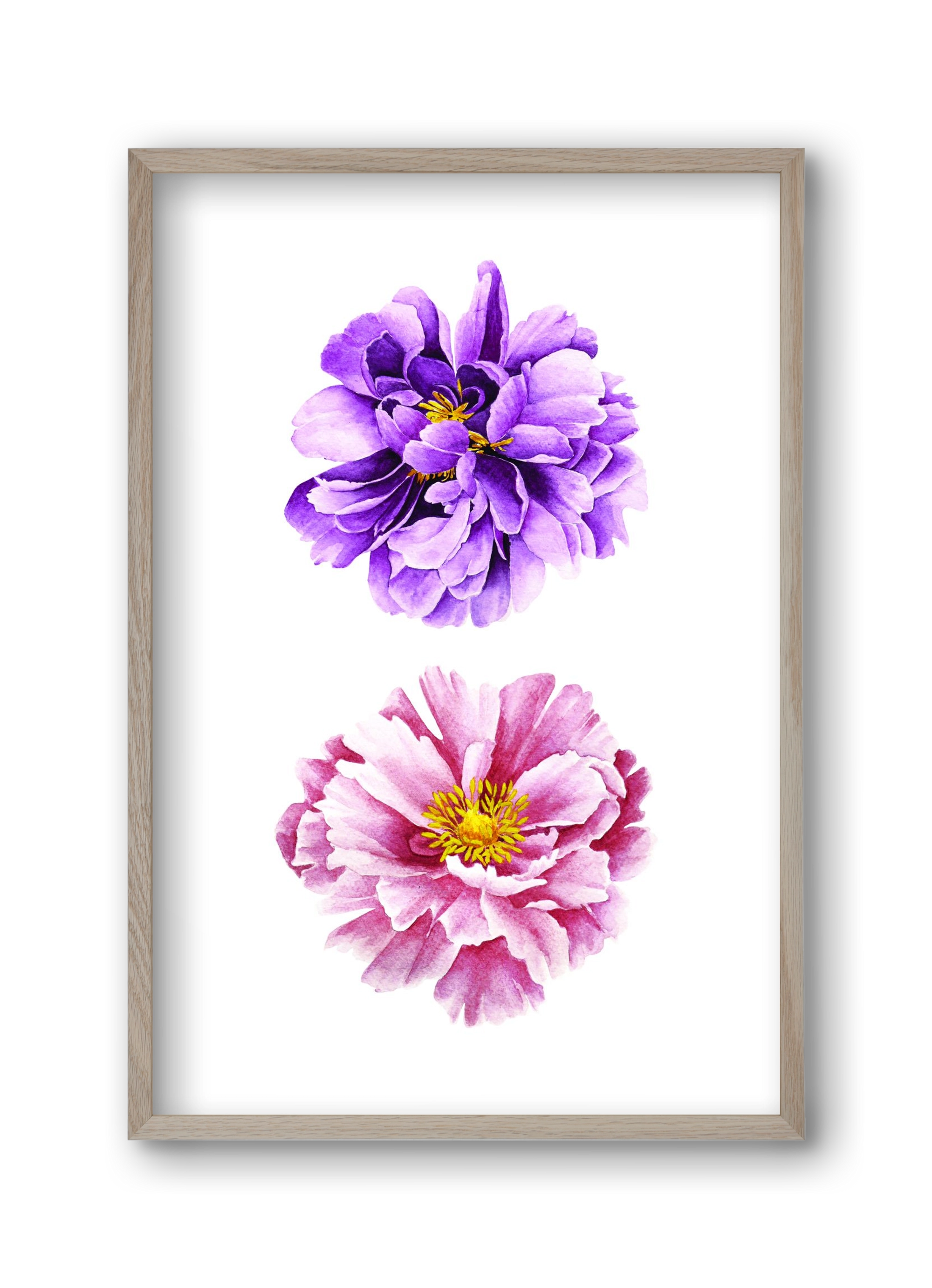 peonies, 30x45 cm (30x45 cm), Tölgy keret