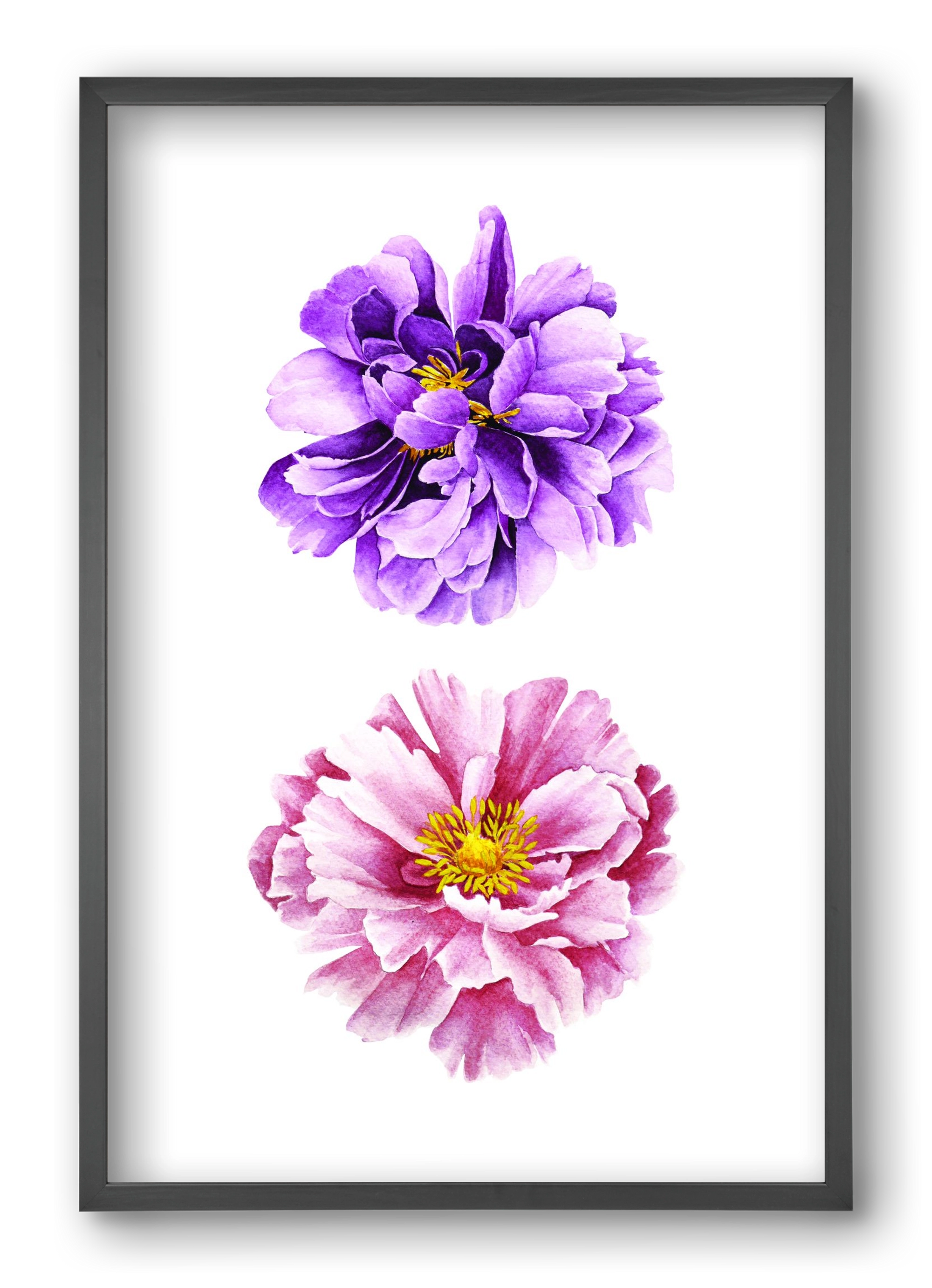 peonies, 40x60 cm (40x60 cm), Fekete keret