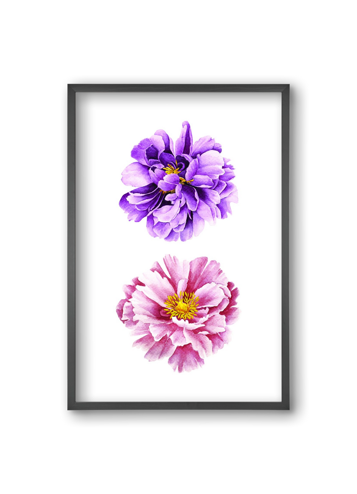 peonies, 20x30 cm (20x30 cm), Fekete keret