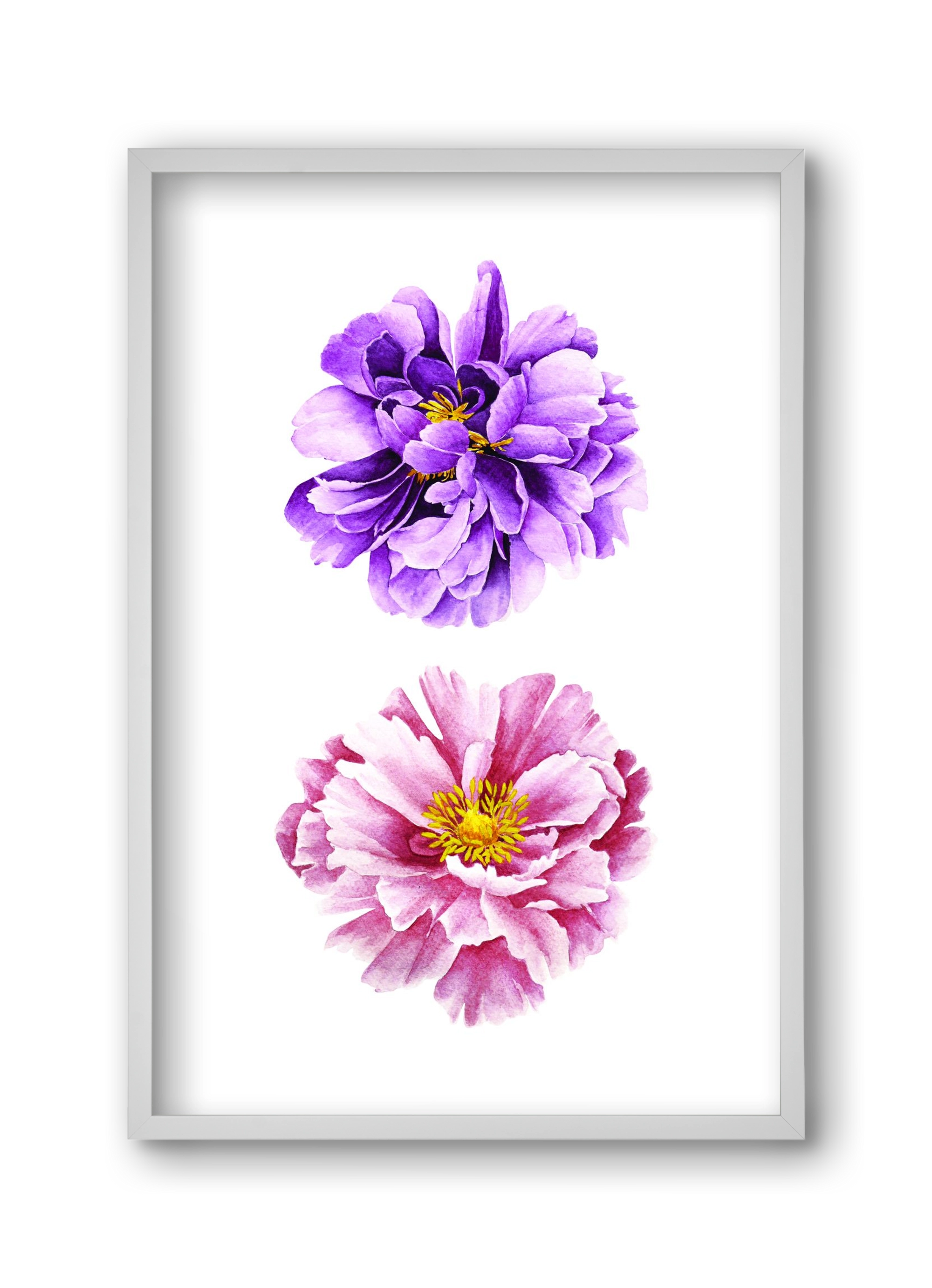 peonies, 30x45 cm (30x45 cm), Fehér keret