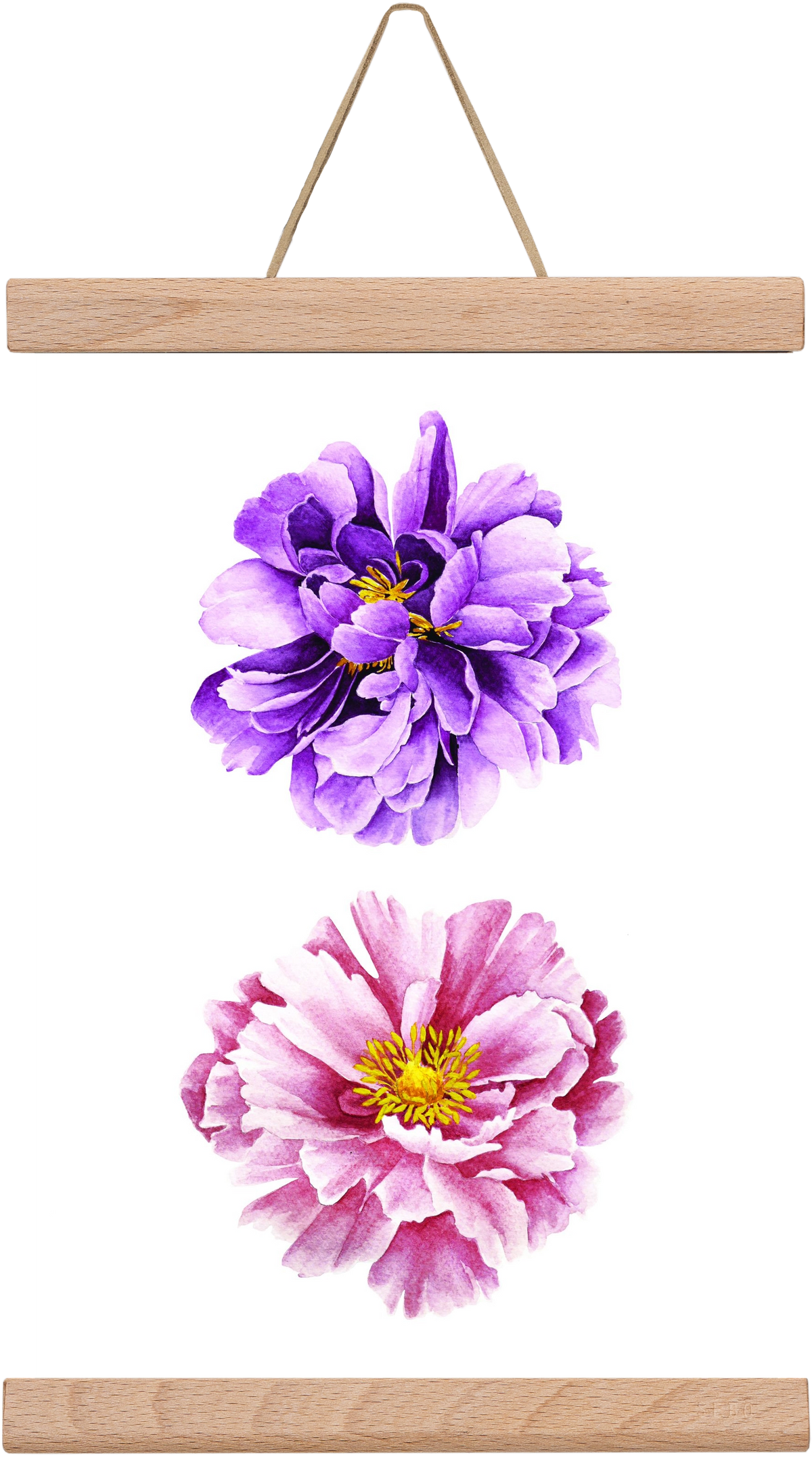 peonies, 20x30 cm (20x30 cm), Tölgy akasztó