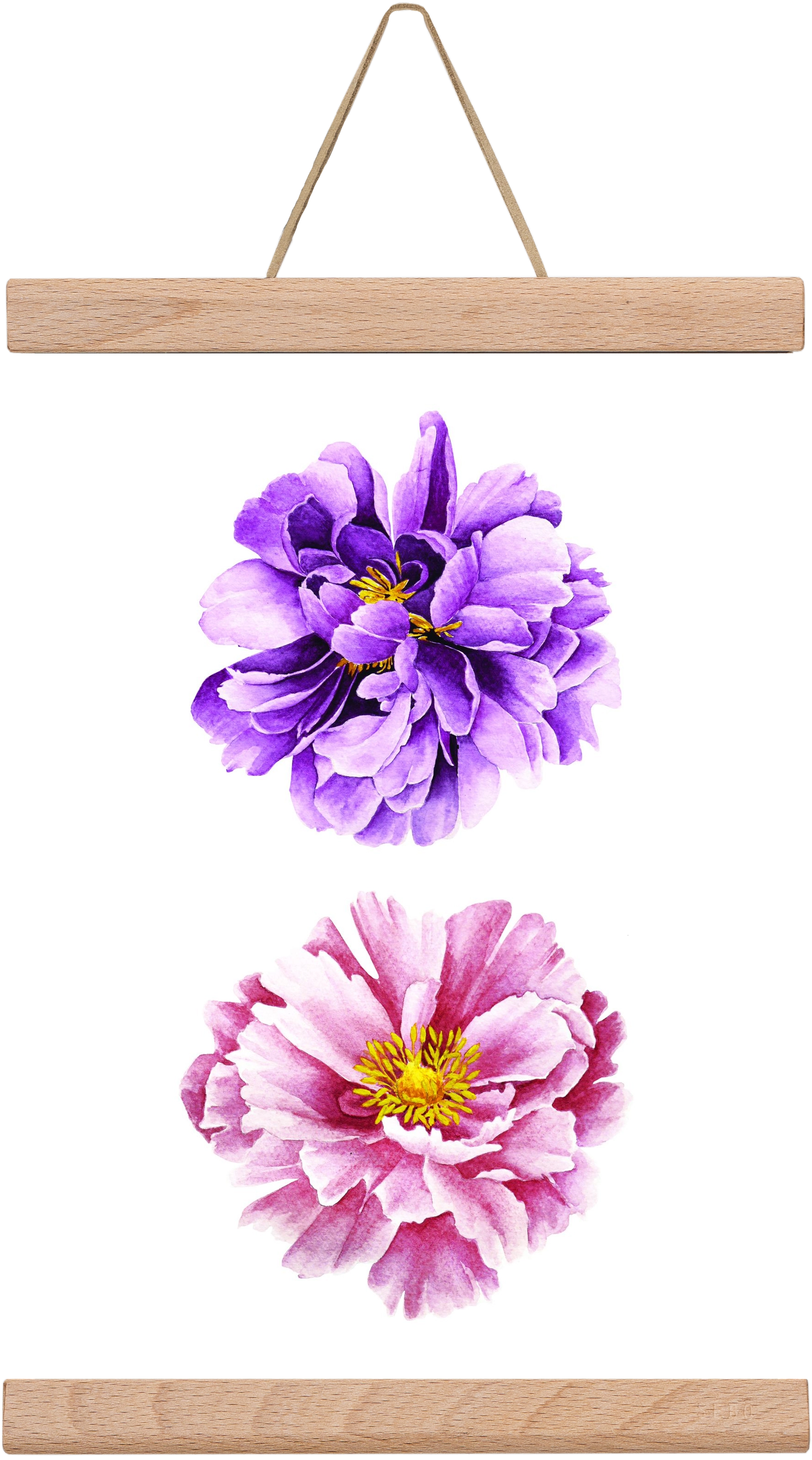 peonies, 20x30 cm (20x30 cm), Tölgy akasztó