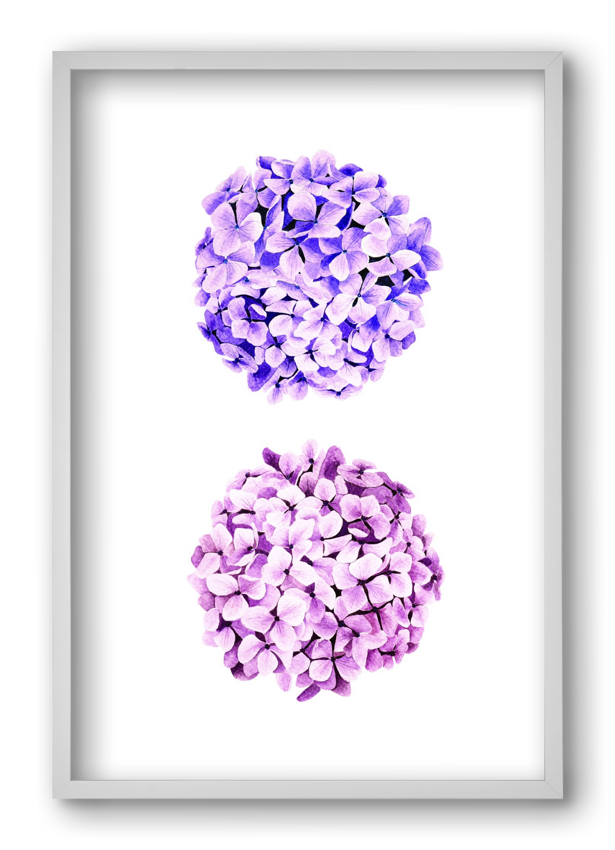 hydrangea, 40x60 cm (40x60 cm), Fehér keret