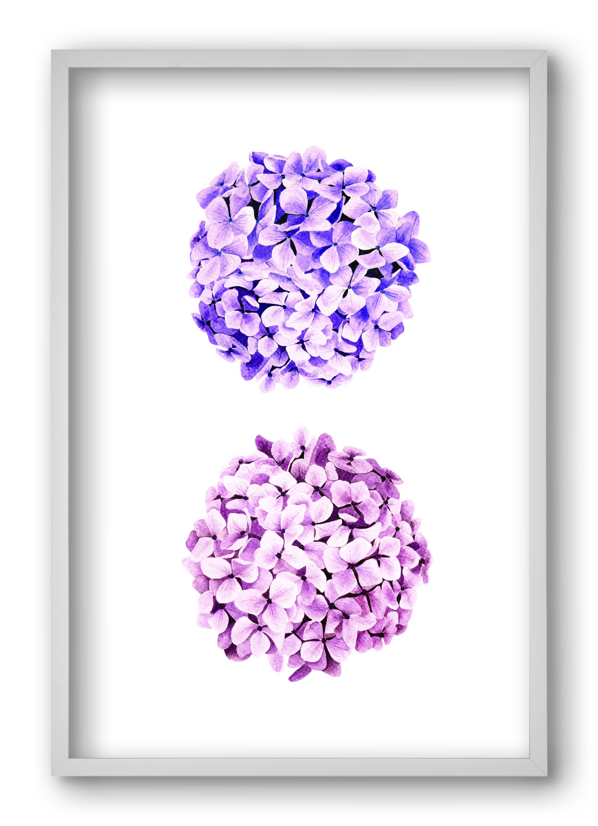 hydrangea, 40x60 cm (40x60 cm), Fehér keret