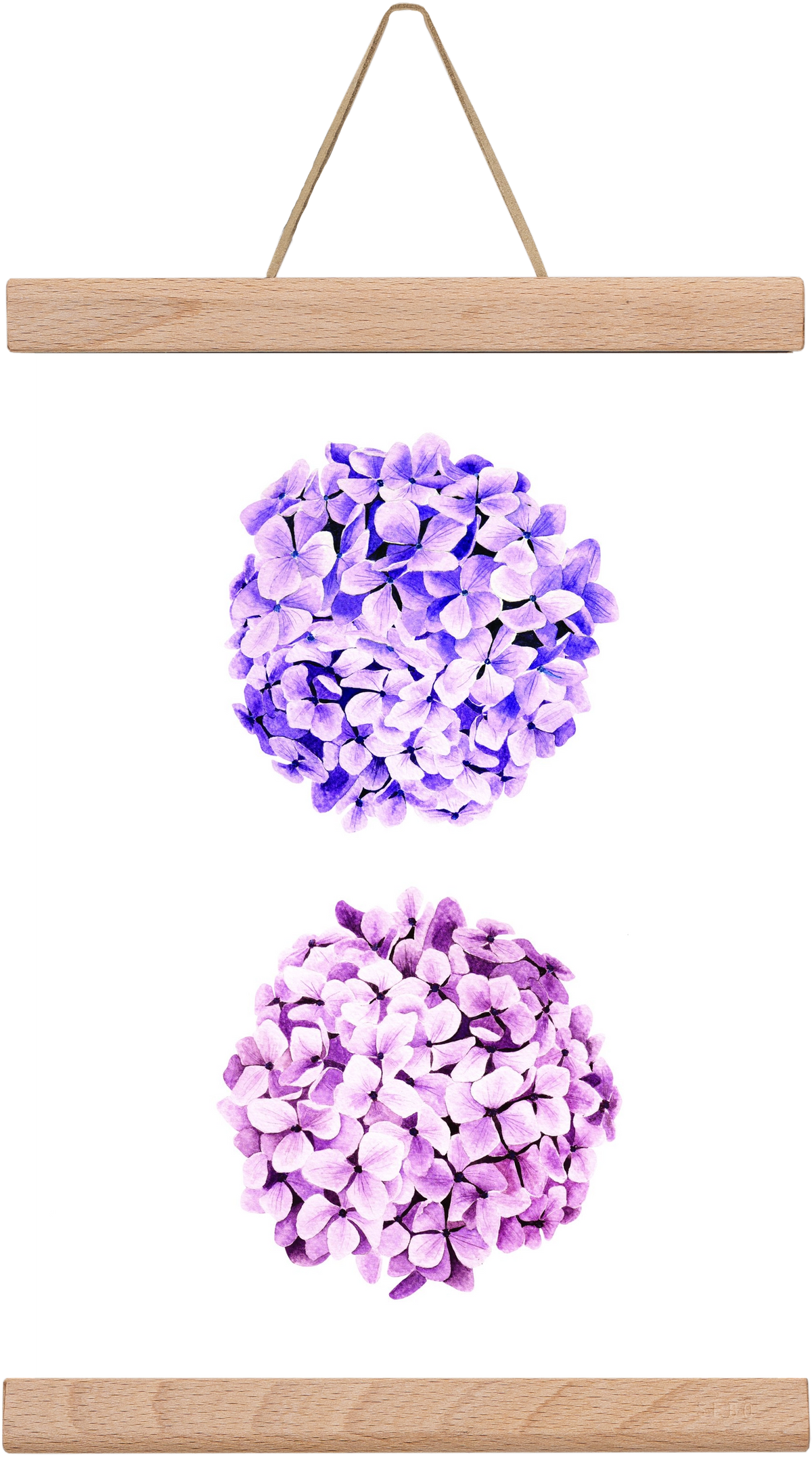 hydrangea, 20x30 cm (20x30 cm), Tölgy akasztó