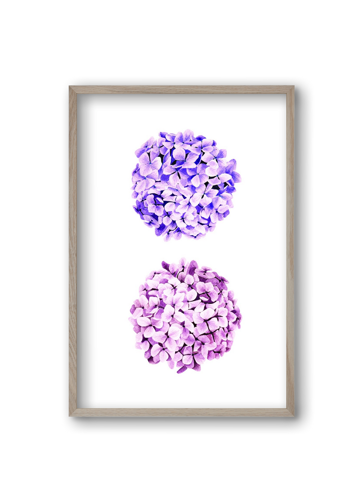 hydrangea, 20x30 cm (20x30 cm), Tölgy keret