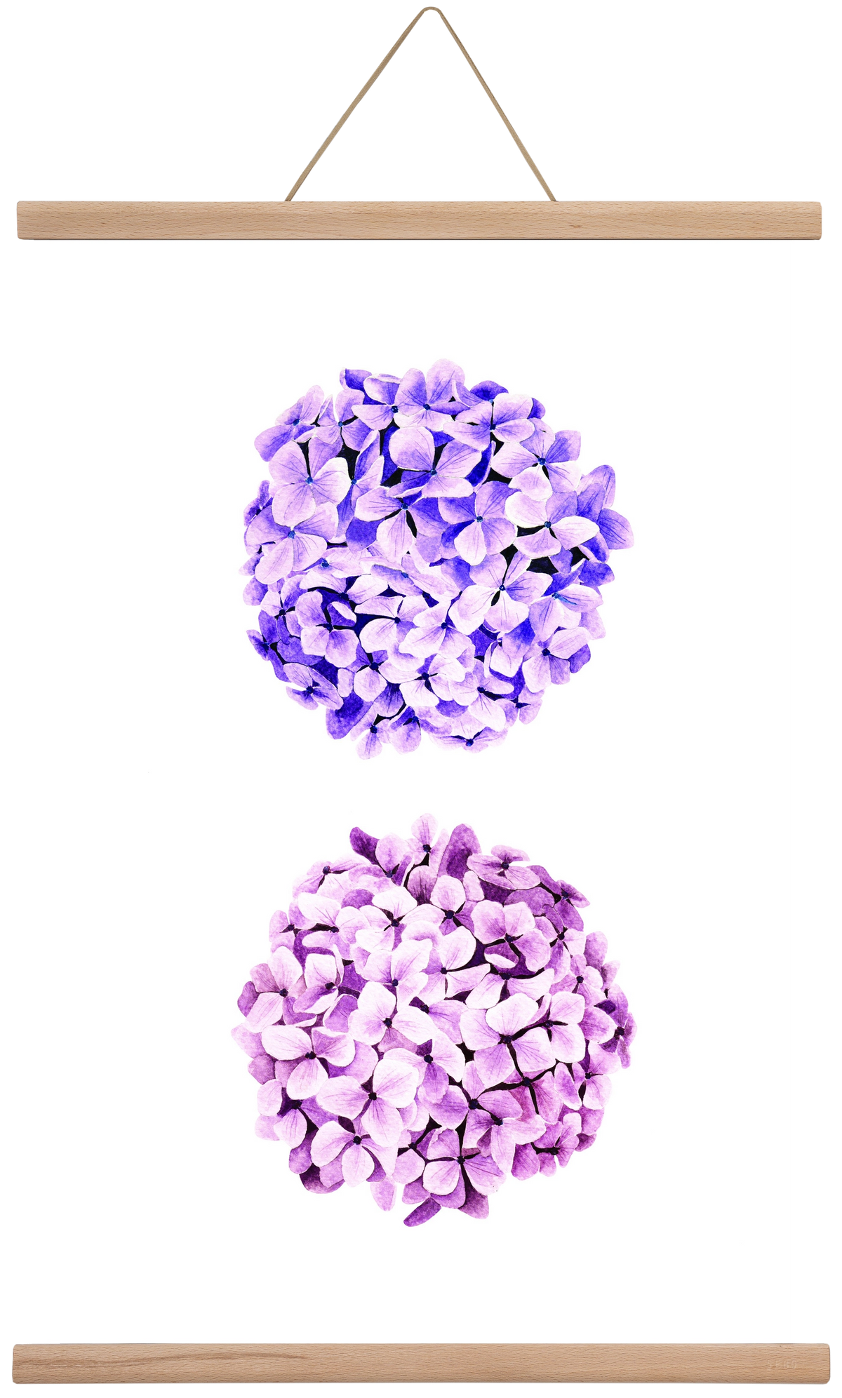 hydrangea, 40x60 cm (40x60 cm), Tölgy akasztó