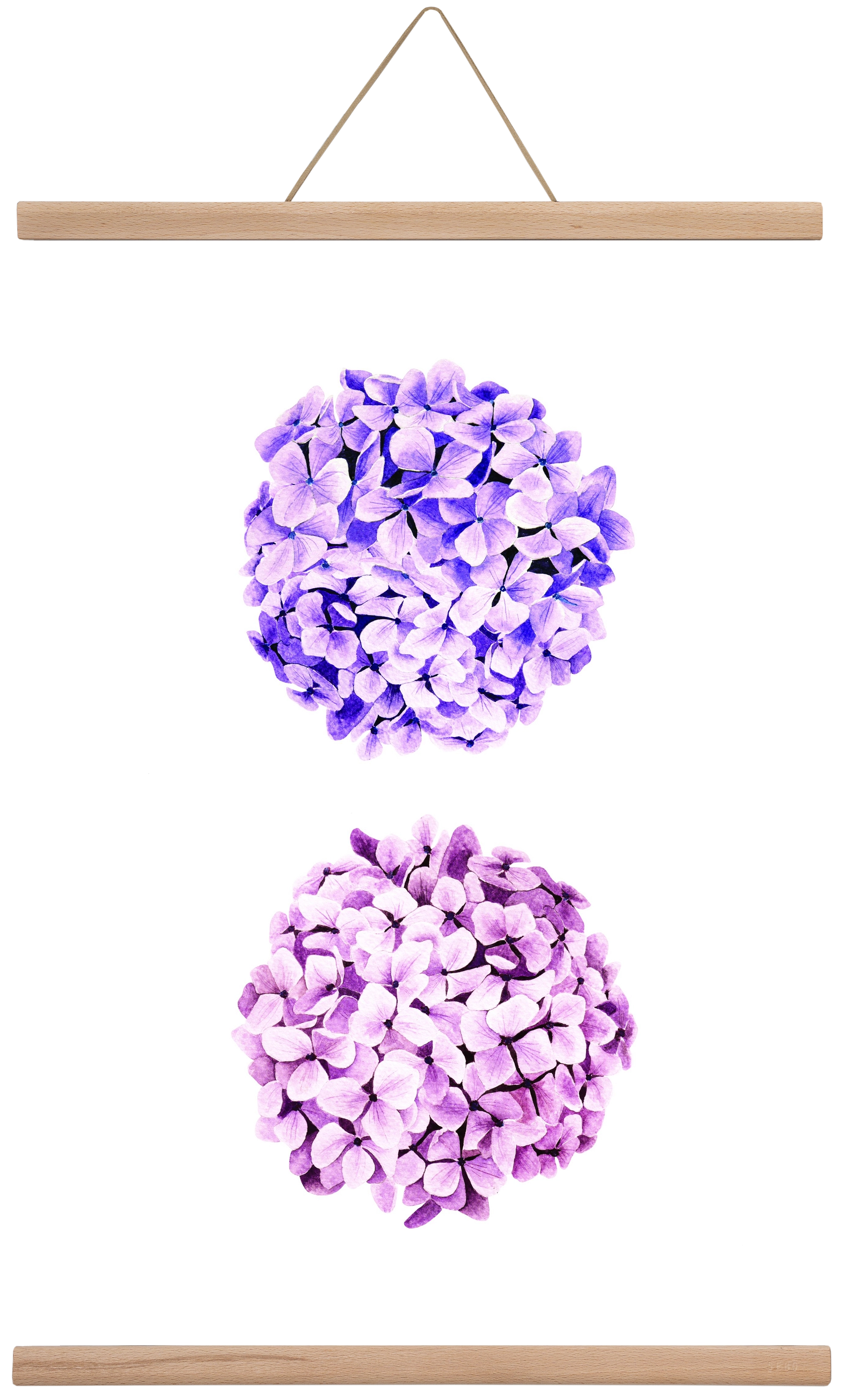 hydrangea, 40x60 cm (40x60 cm), Tölgy akasztó