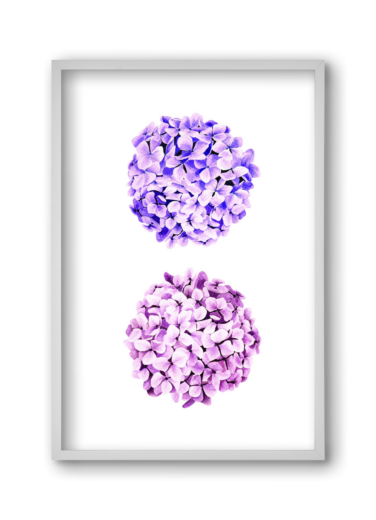 hydrangea, 30x45 cm (30x45 cm), Fehér keret