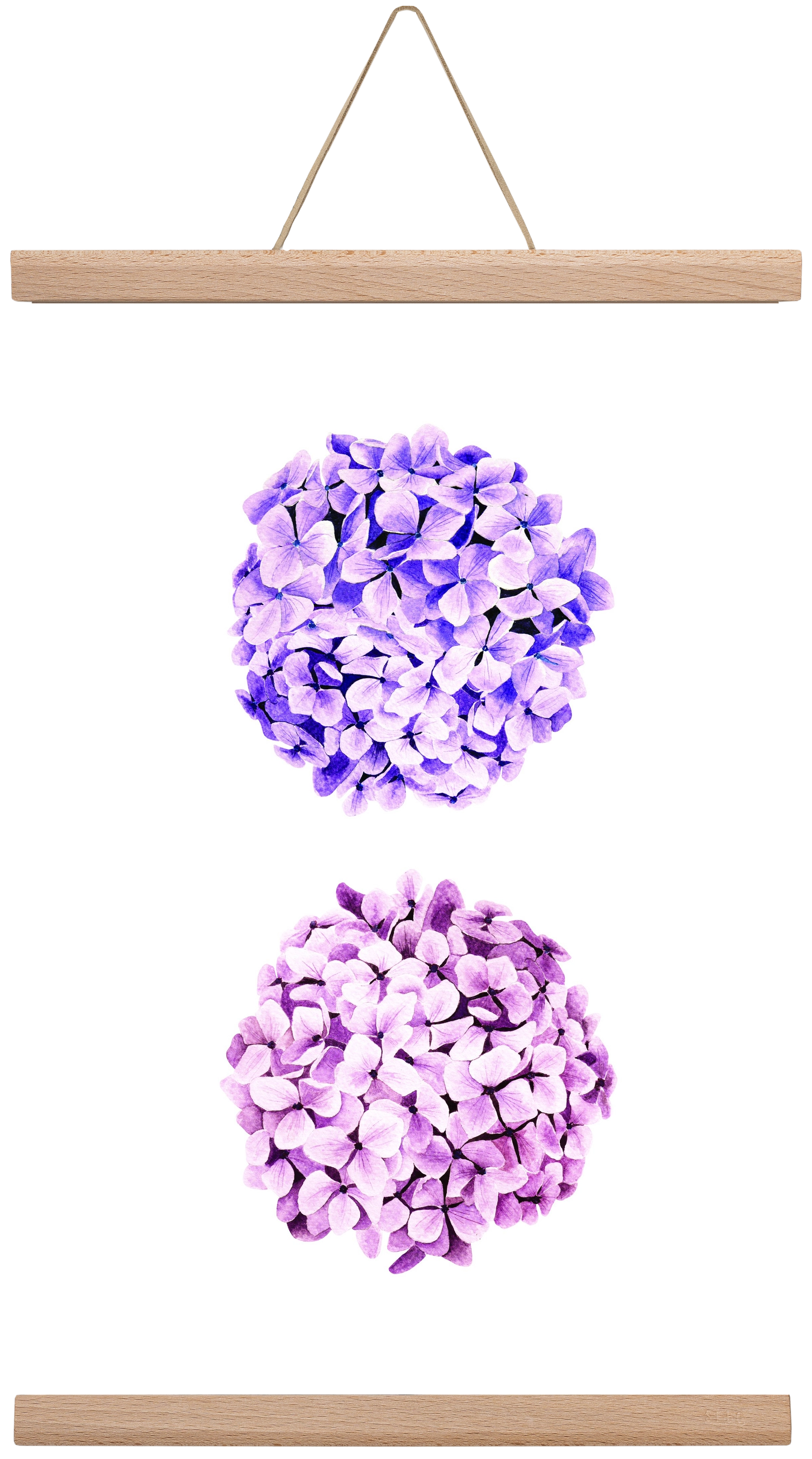 hydrangea, 30x45 cm (30x45 cm), Tölgy akasztó