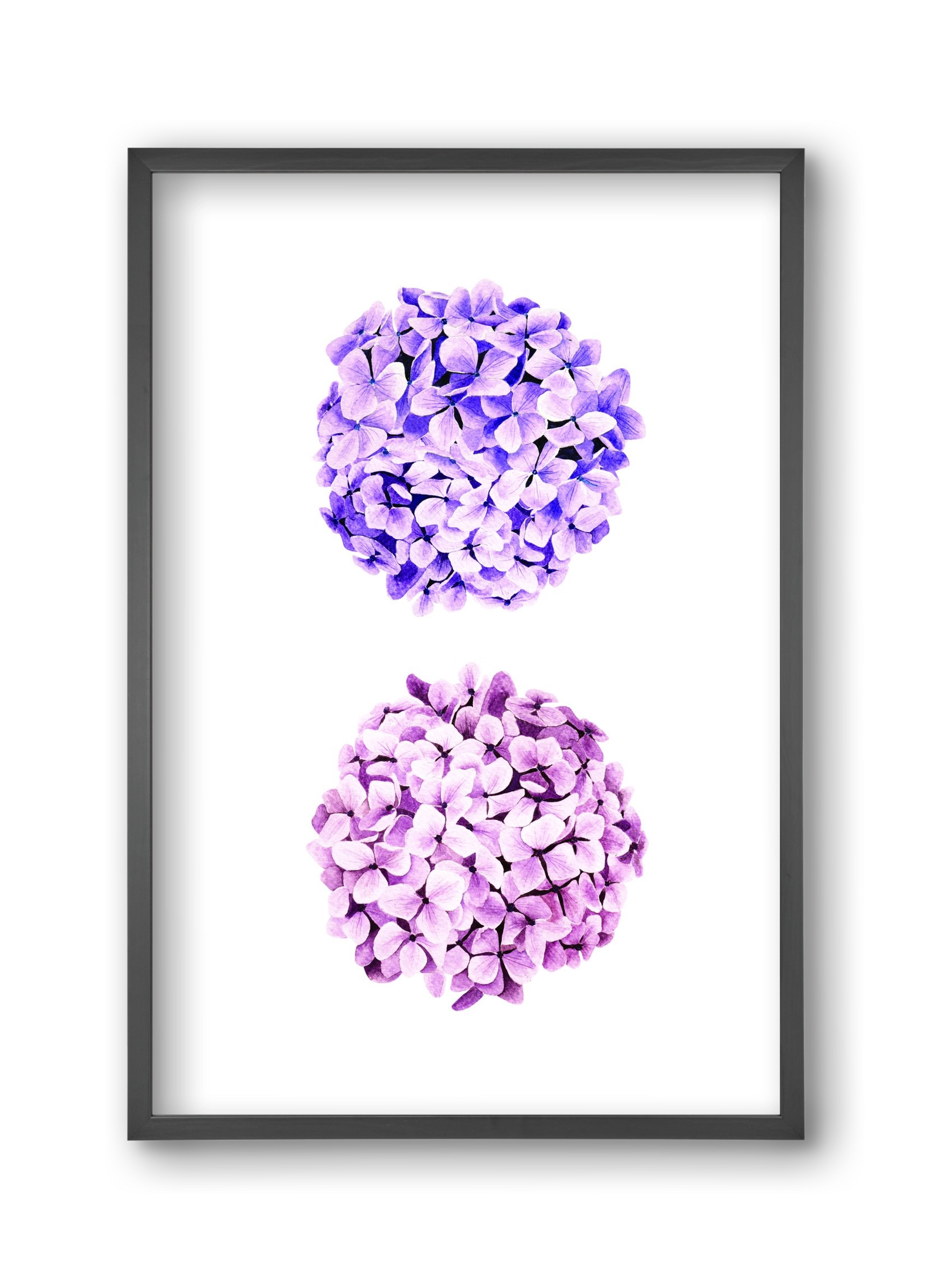 hydrangea, 30x45 cm (30x45 cm), Fekete keret