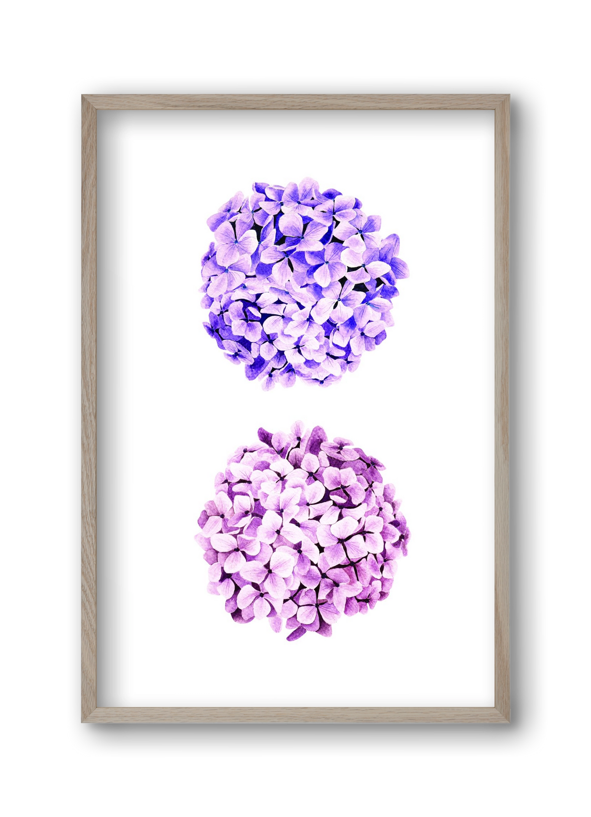 hydrangea, 30x45 cm (30x45 cm), Tölgy keret