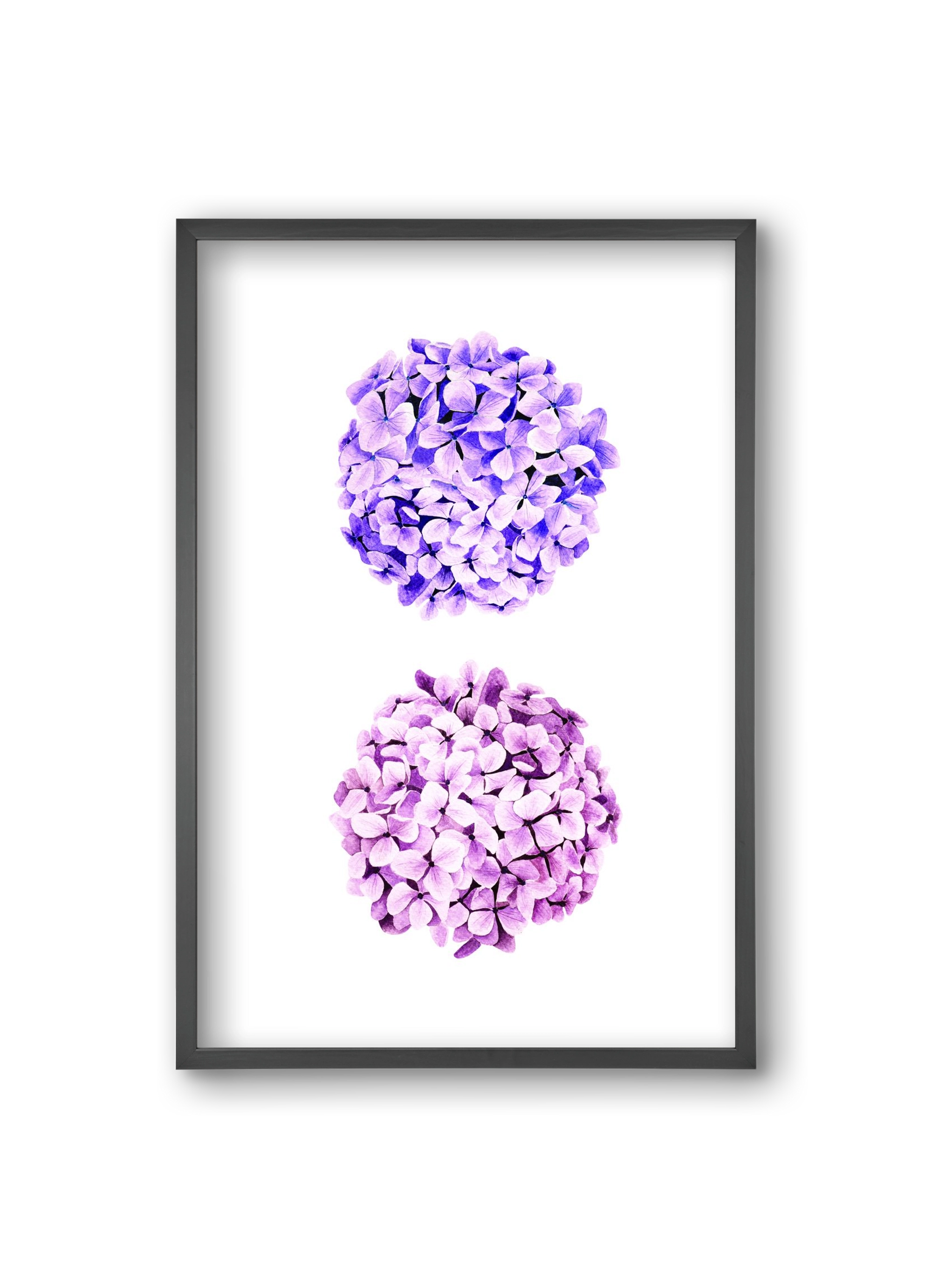 hydrangea, 20x30 cm (20x30 cm), Fekete keret