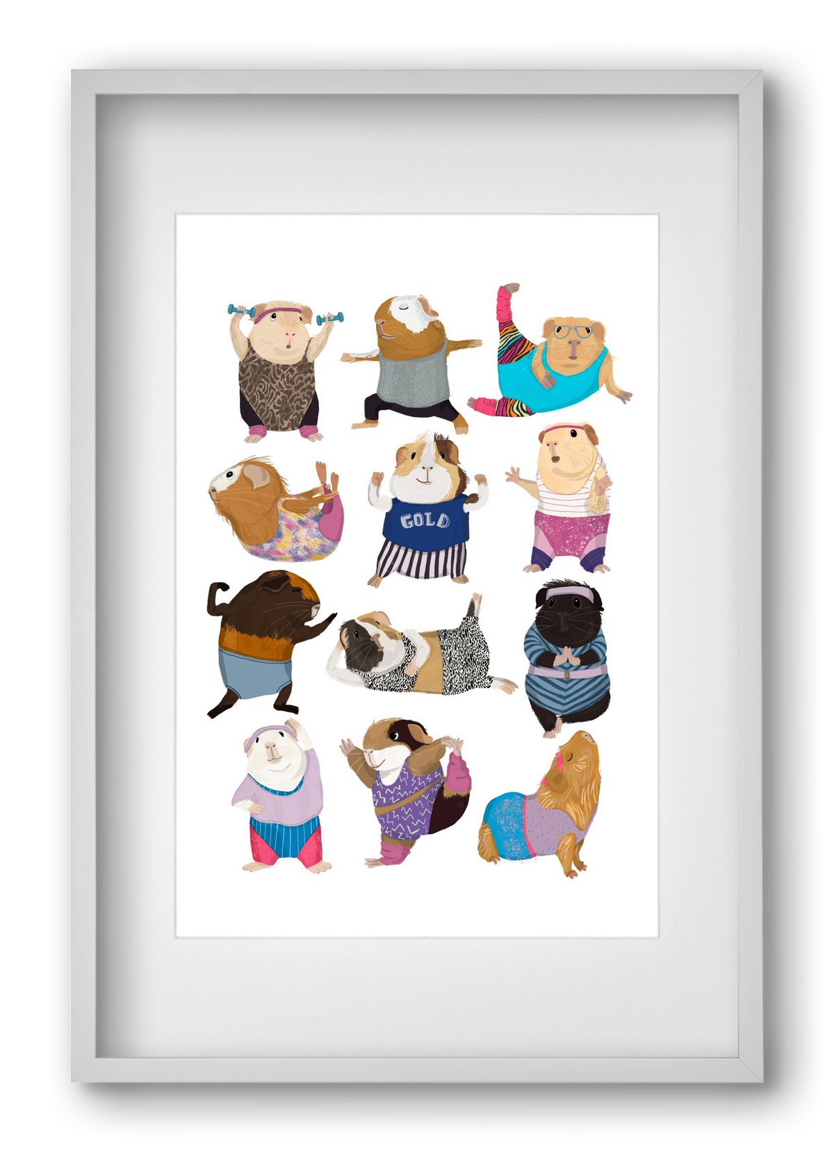 Guinea Pigs doing Aerobic, 40x60 cm (30x45 cm), Fehér keret, paszpartuval