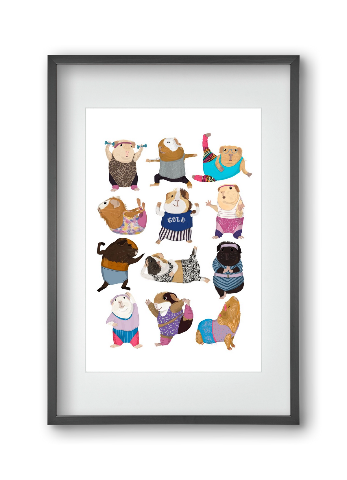 Guinea Pigs doing Aerobic, 30x45 cm (20x30 cm), Fekete keret, paszpartuval