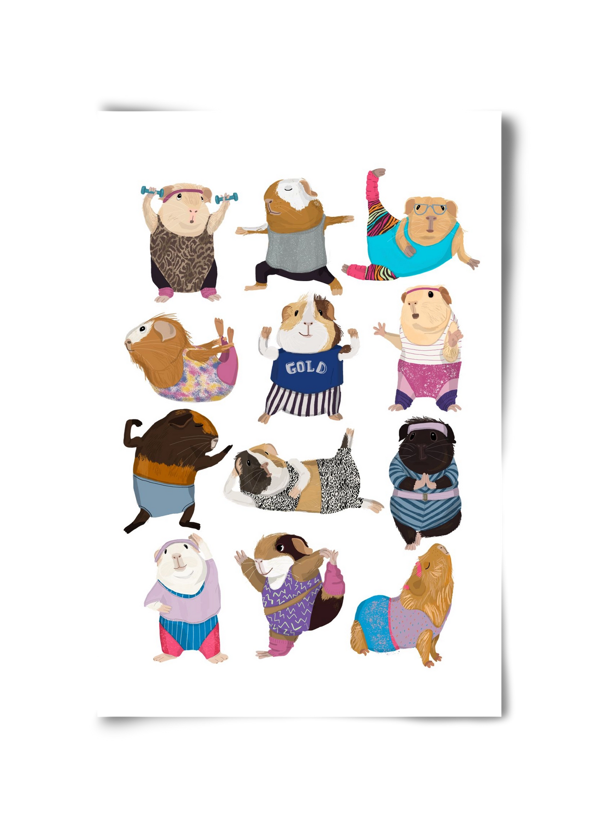 Guinea Pigs doing Aerobic, 30x45 cm, Keret nélkül