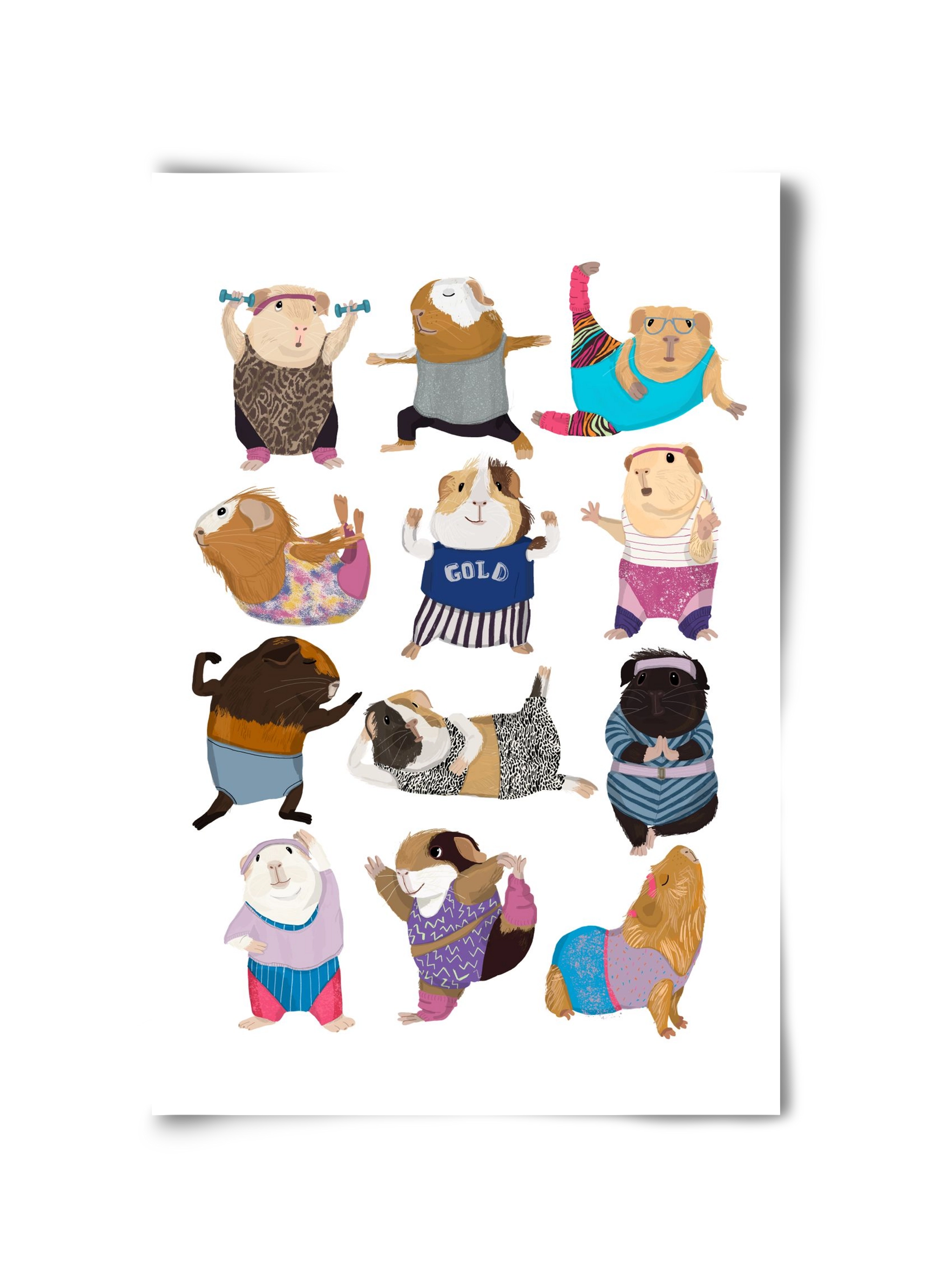 Guinea Pigs doing Aerobic, 30x45 cm, Keret nélkül