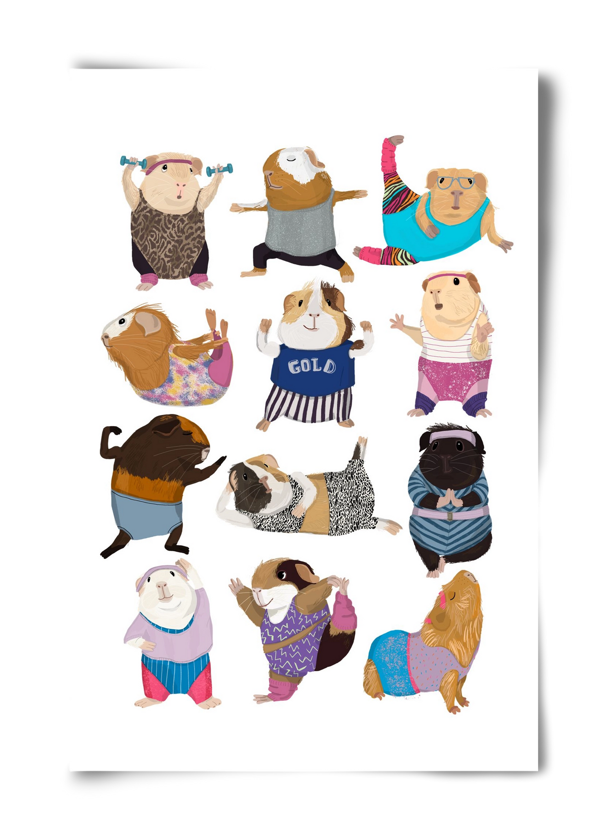 Guinea Pigs doing Aerobic, 40x60 cm, Keret nélkül