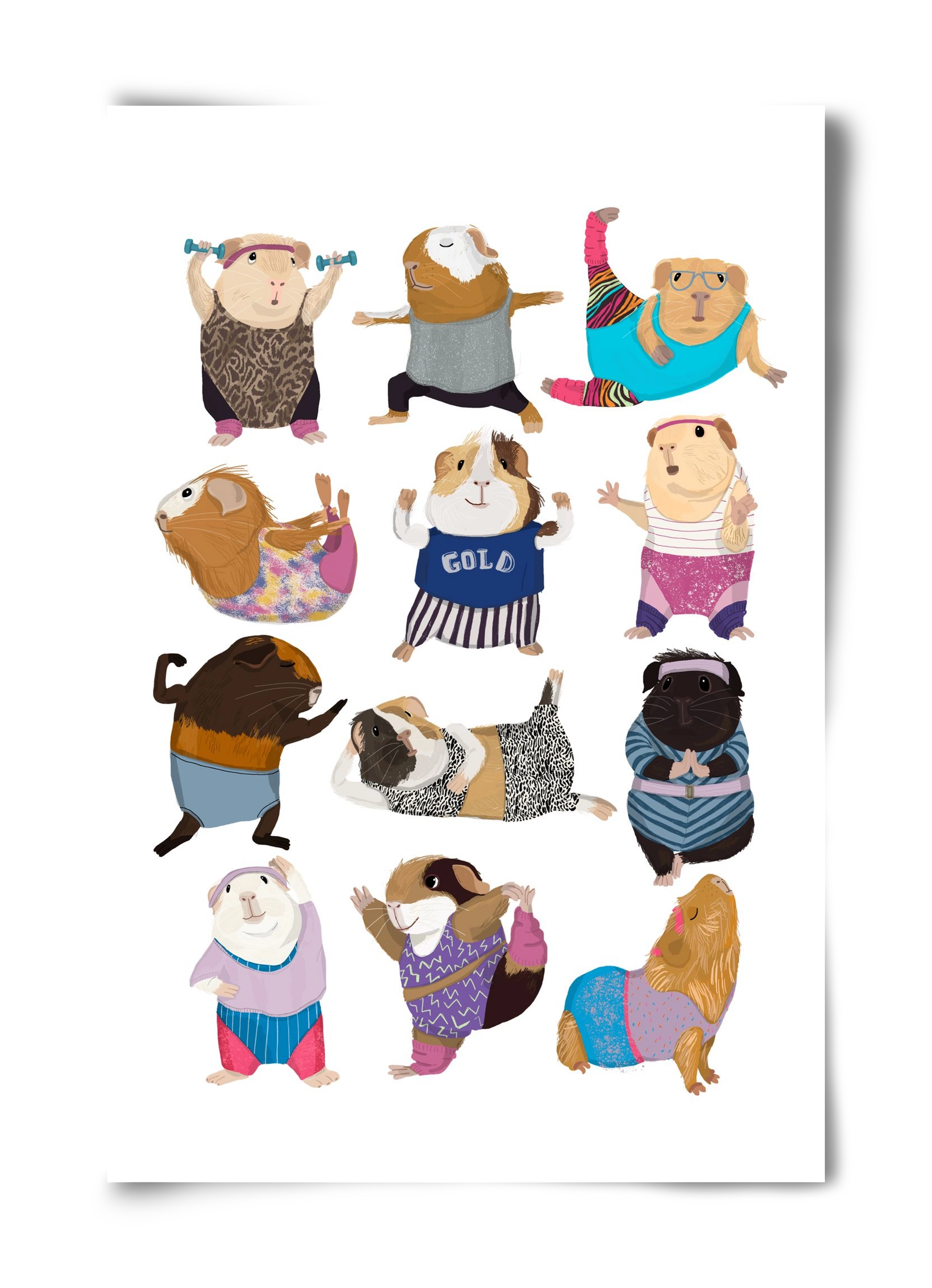 Guinea Pigs doing Aerobic, 40x60 cm, Keret nélkül