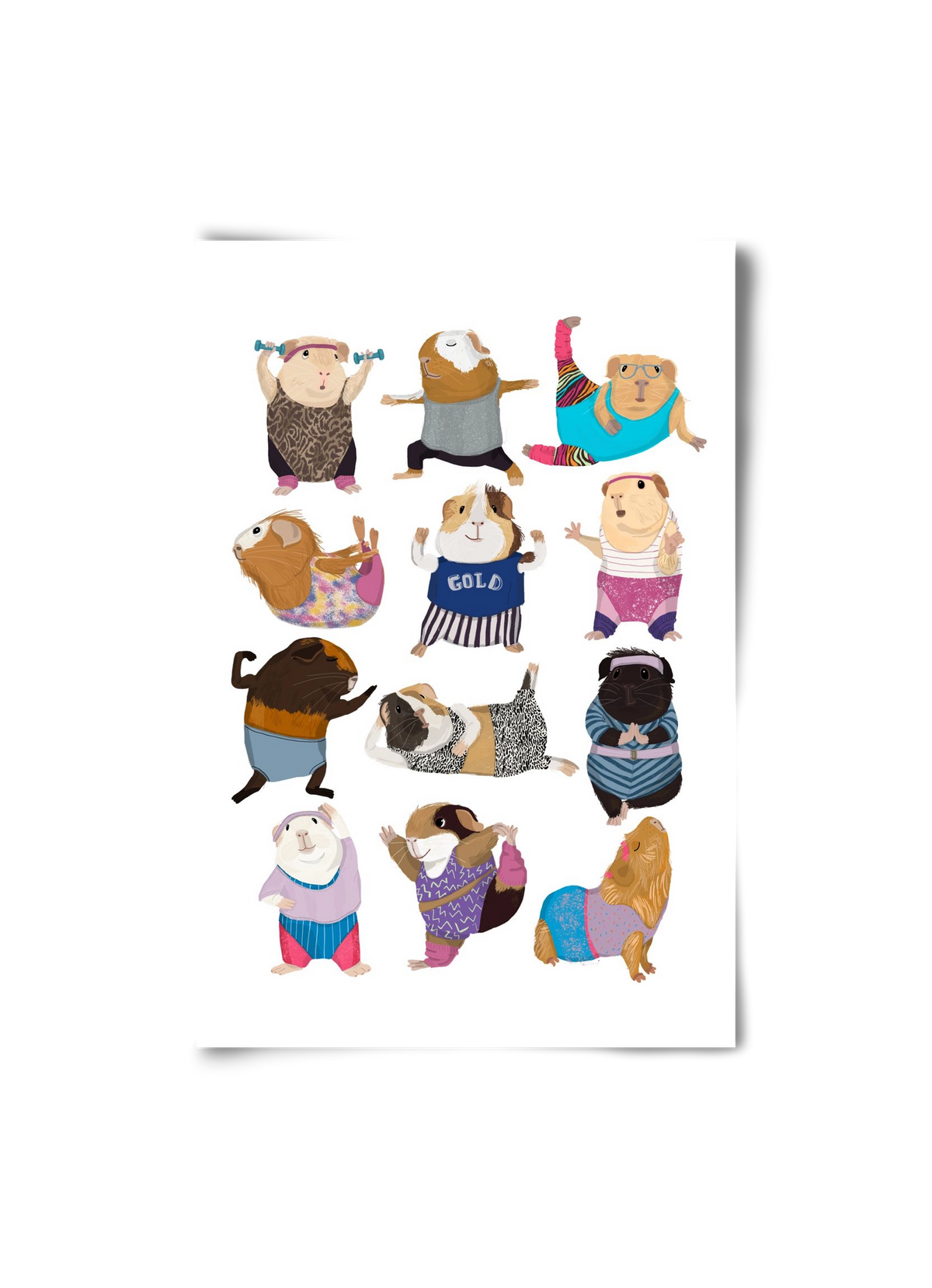 Guinea Pigs doing Aerobic, 20x30 cm, Keret nélkül