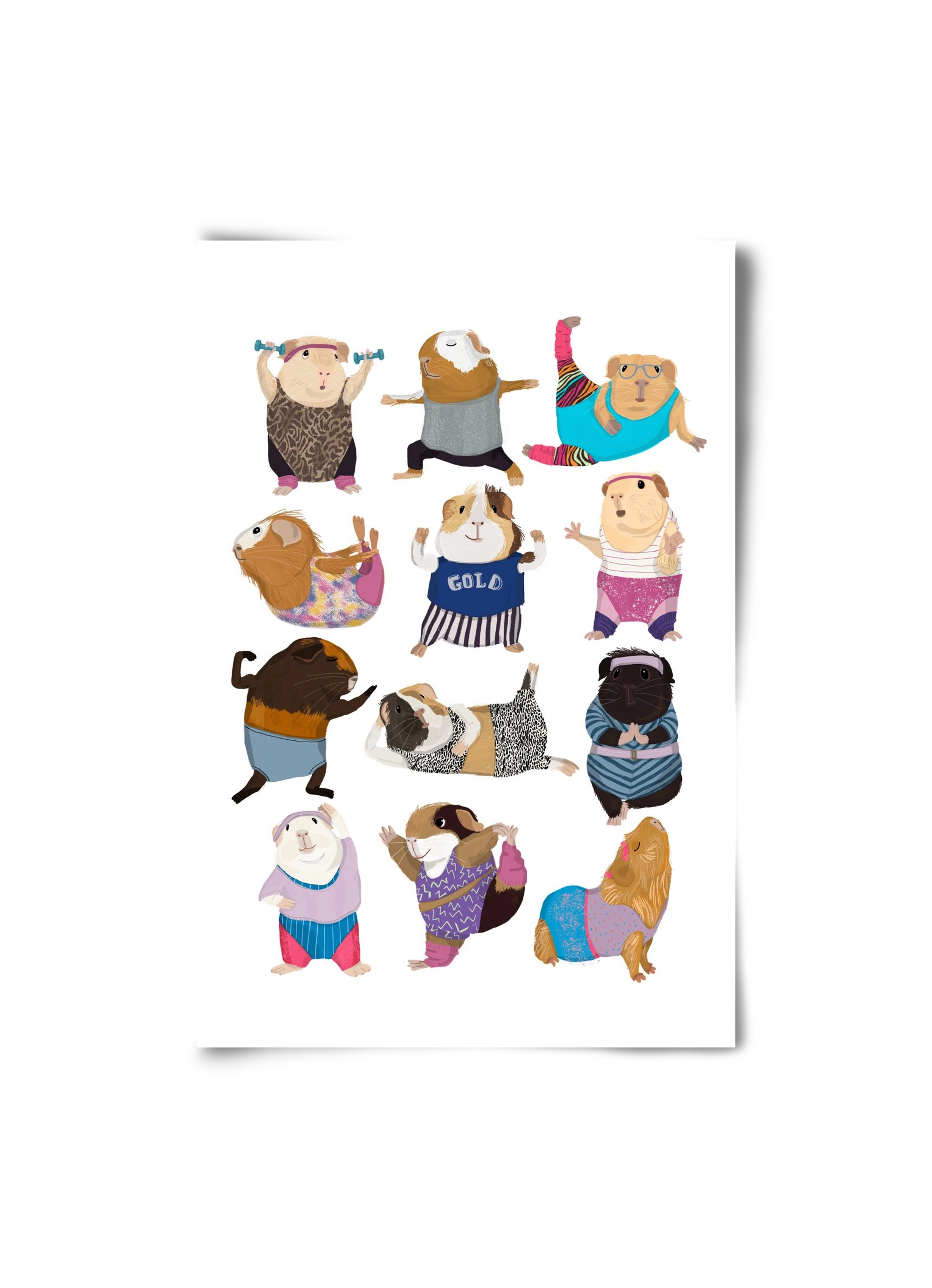 Guinea Pigs doing Aerobic, 20x30 cm, Keret nélkül
