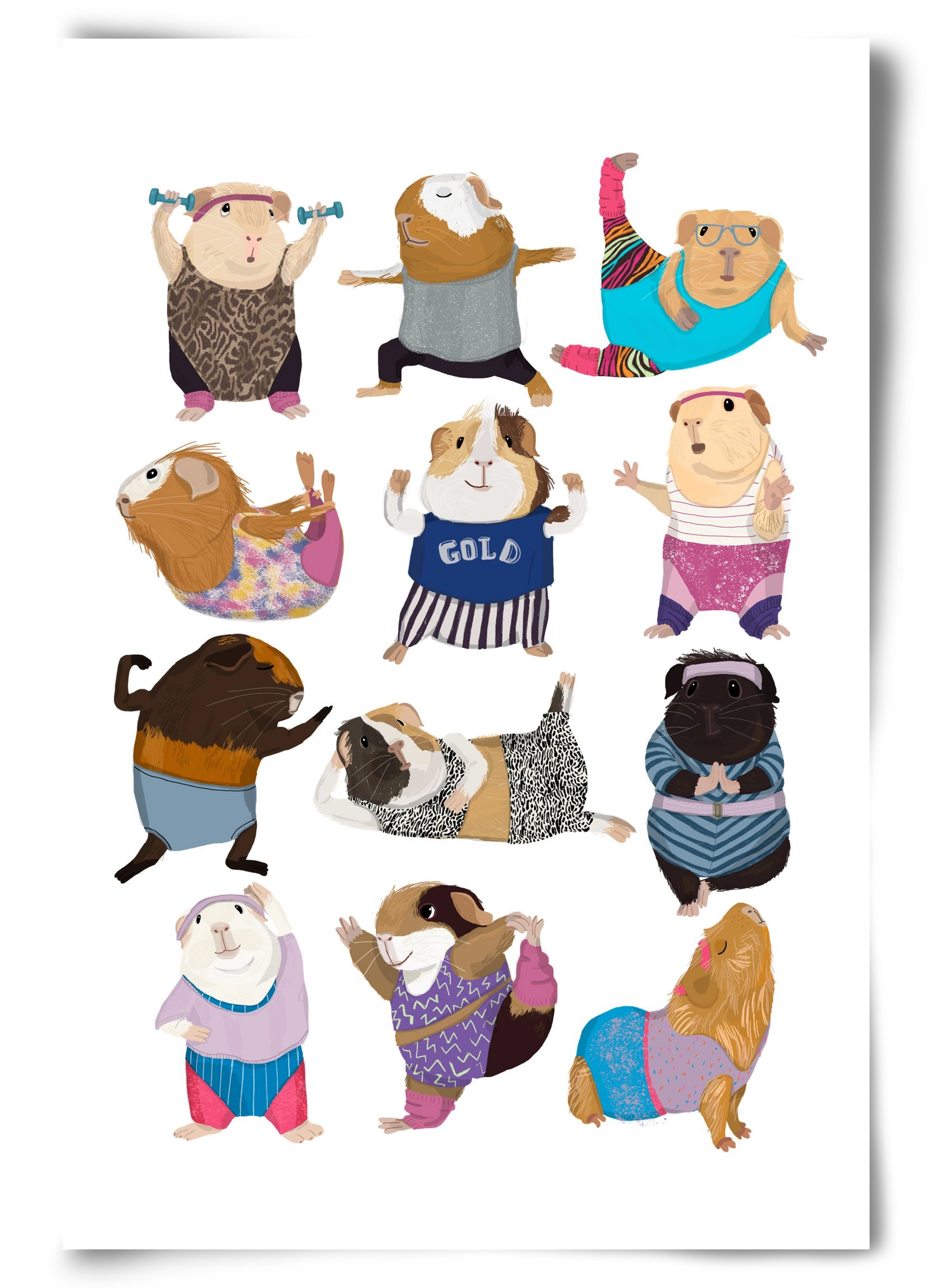 Guinea Pigs doing Aerobic, 60x90 cm, Keret nélkül