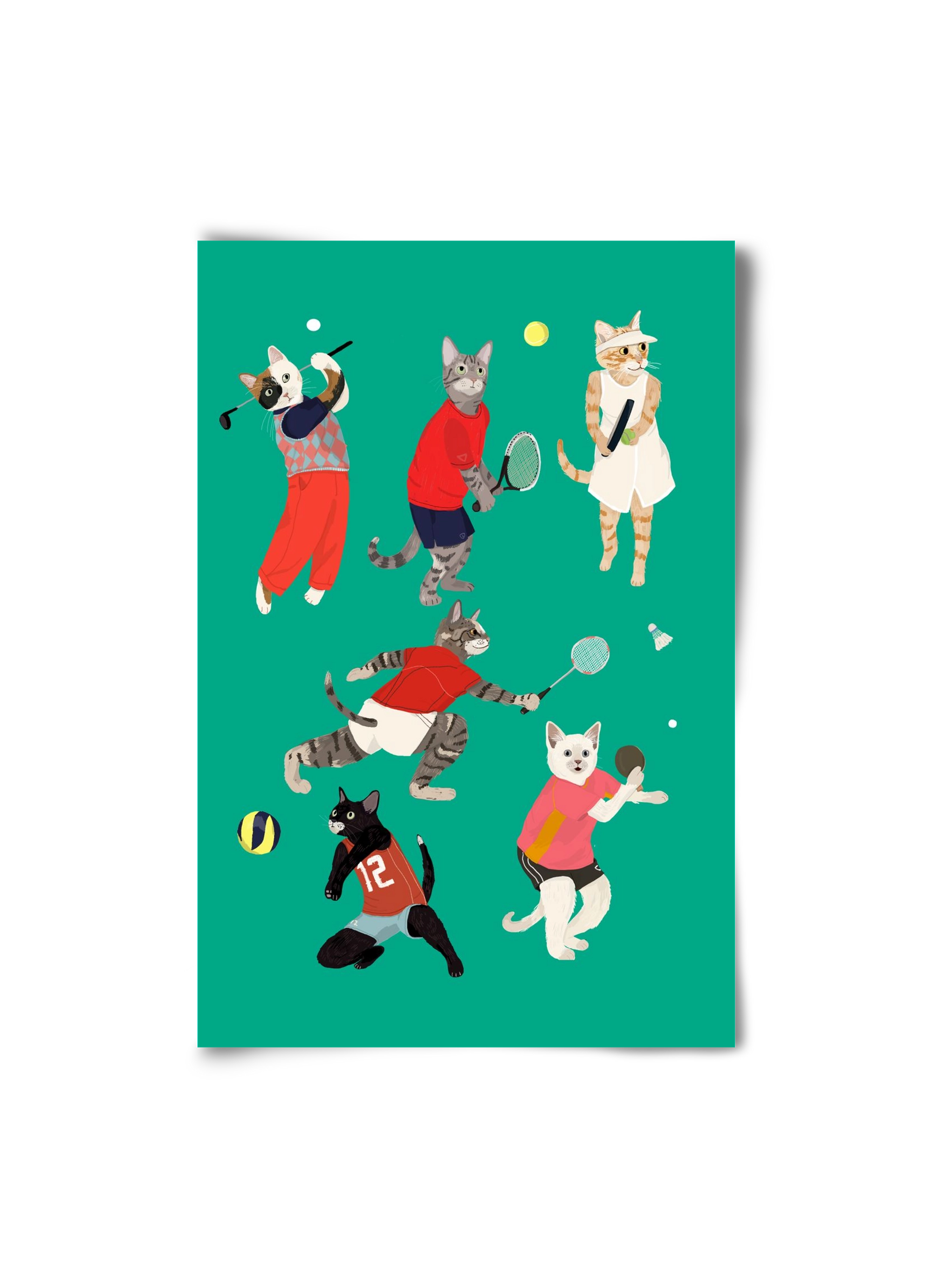 Cats doing ballsport, 20x30 cm, Keret nélkül
