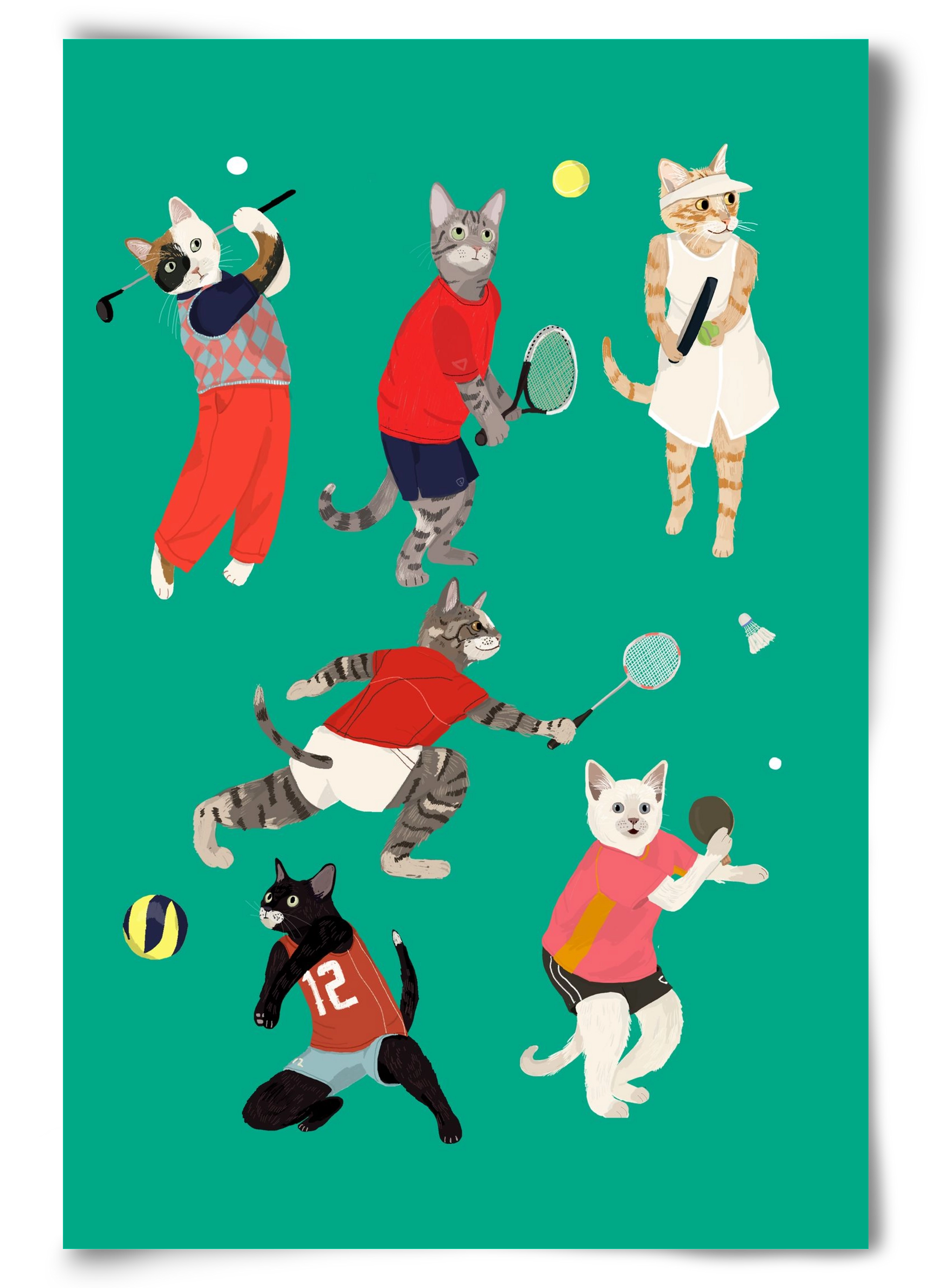 Cats doing ballsport, 60x90 cm, Keret nélkül