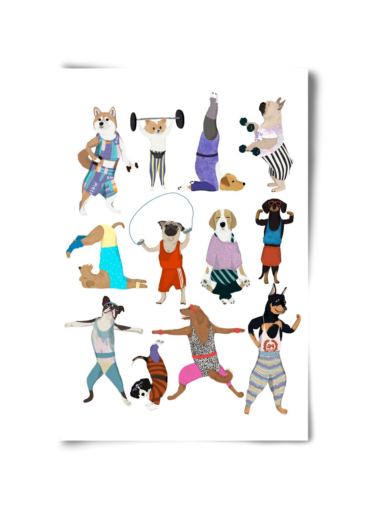 Dogs at the gym, 30x45 cm, Keret nélkül