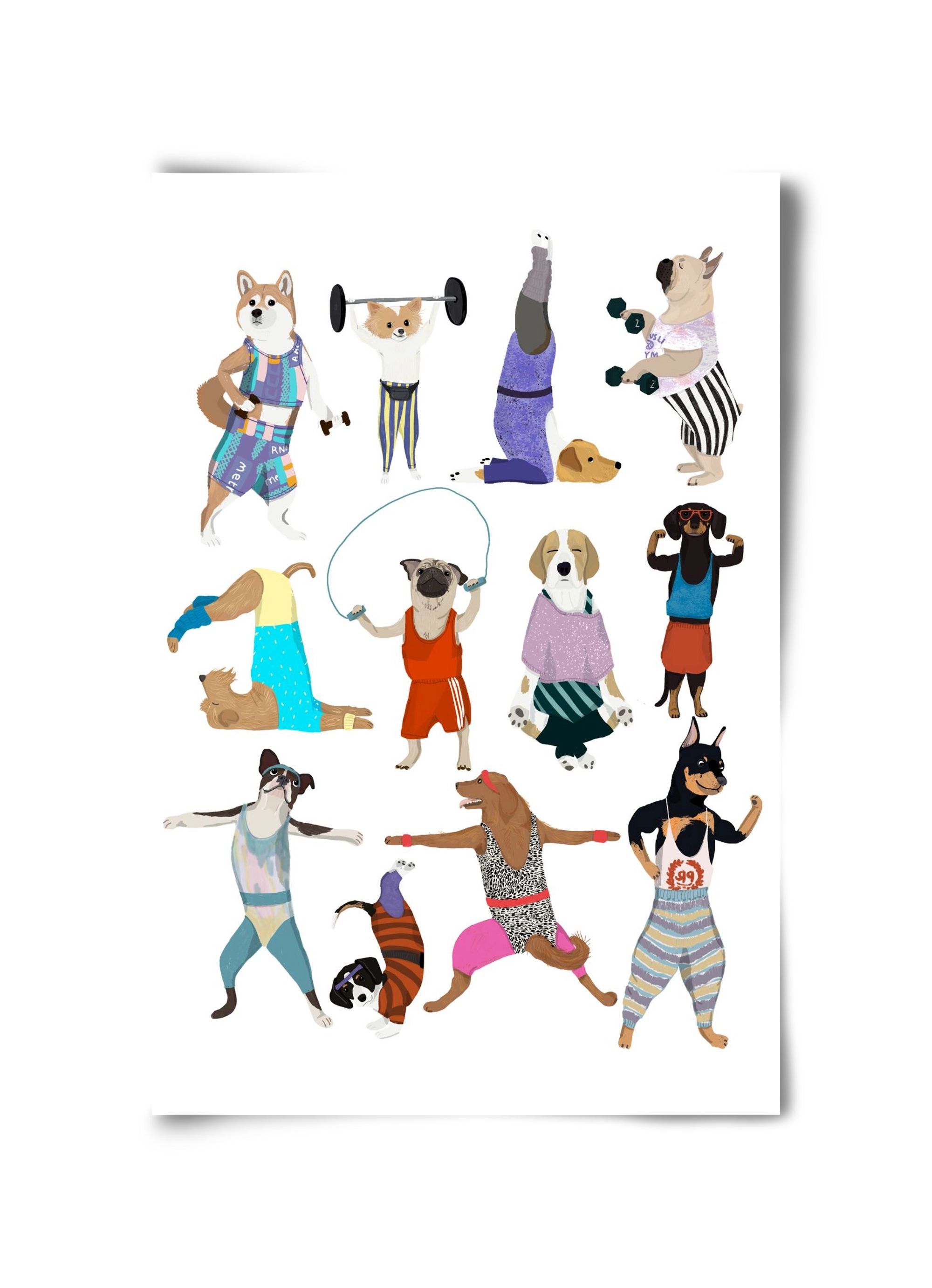 Dogs at the gym, 30x45 cm, Keret nélkül