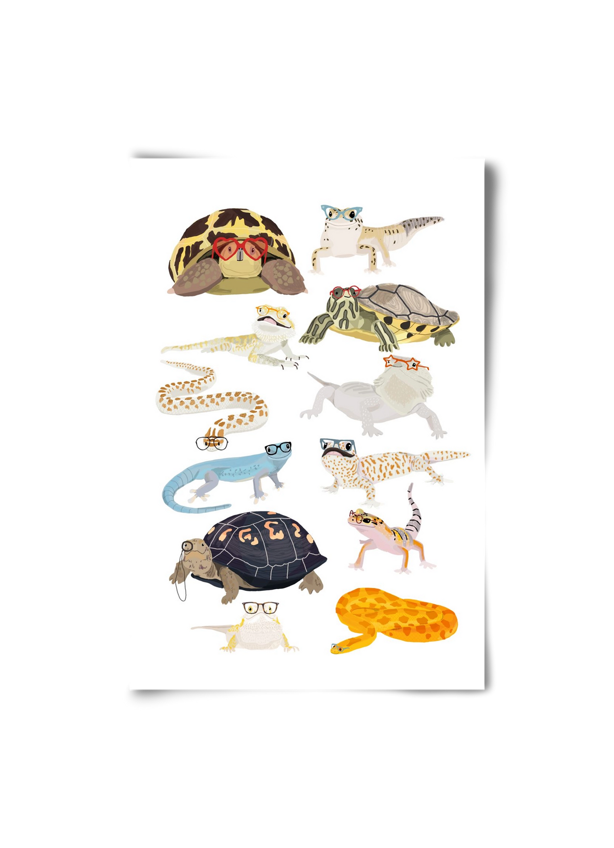 Reptiles in glasses print, 20x30 cm, Keret nélkül