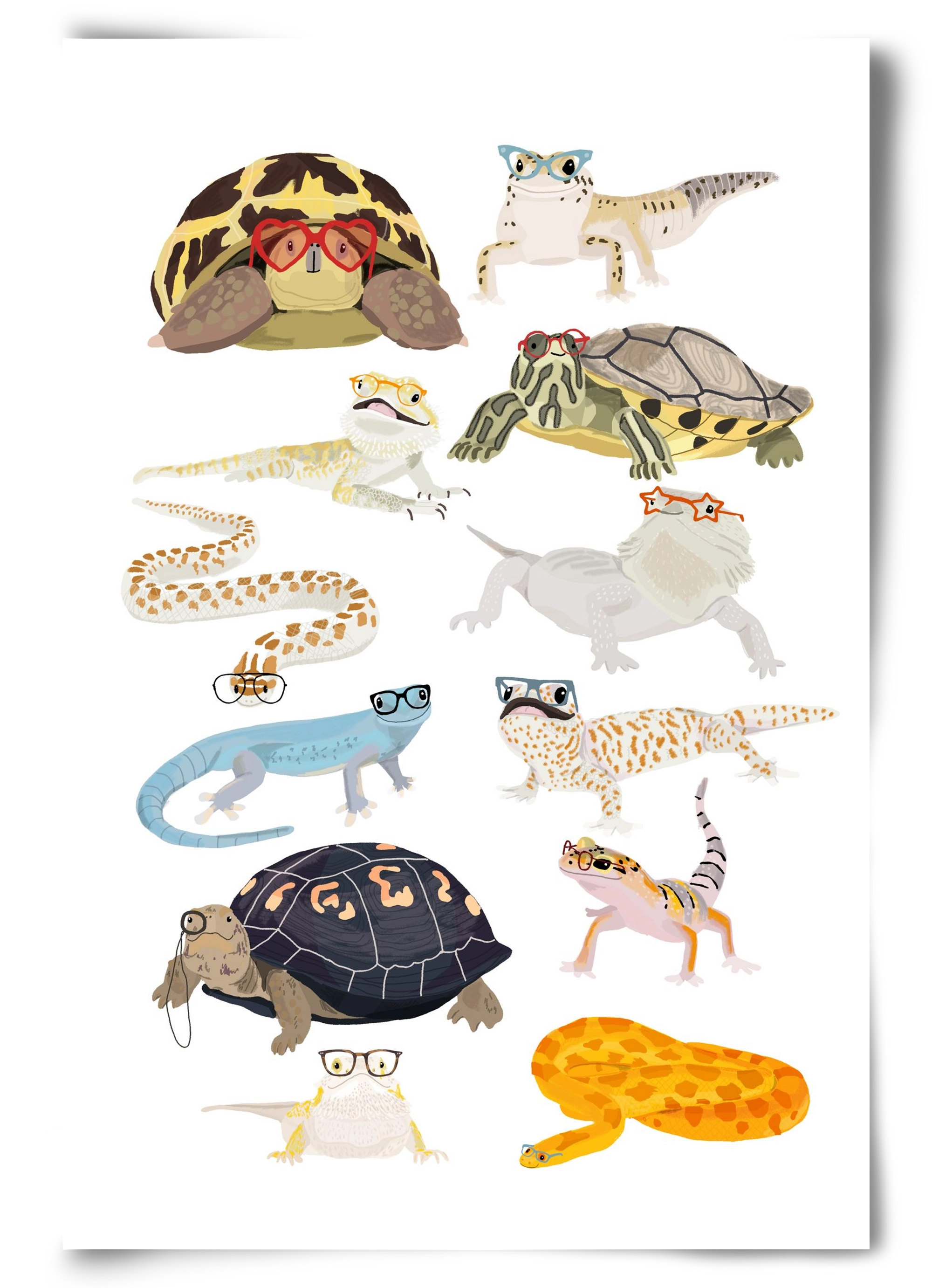 Reptiles in glasses print, 60x90 cm, Keret nélkül
