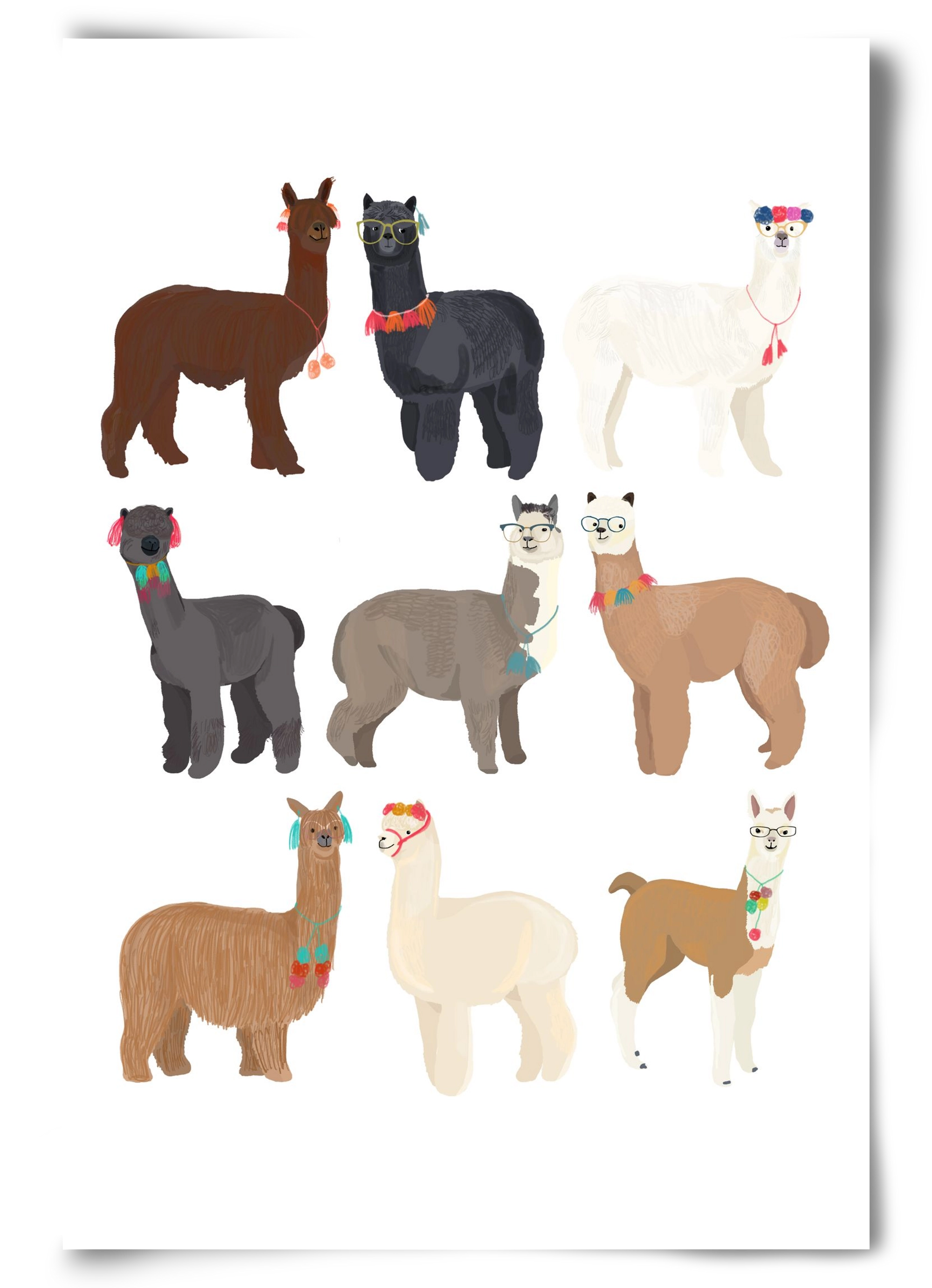 Standin Llama Print, 60x90 cm, Keret nélkül