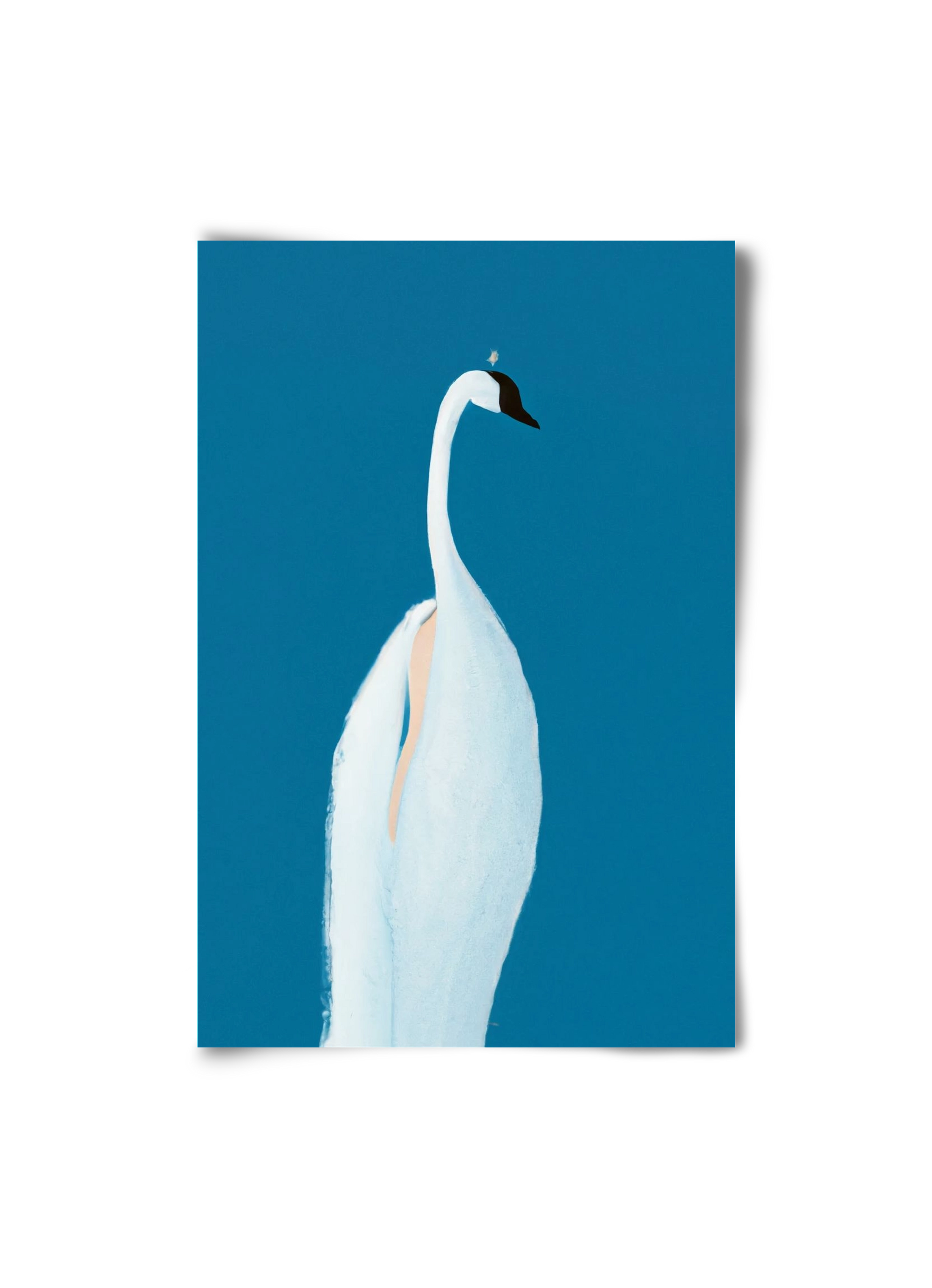 Swan maybe, 20x30 cm, Keret nélkül