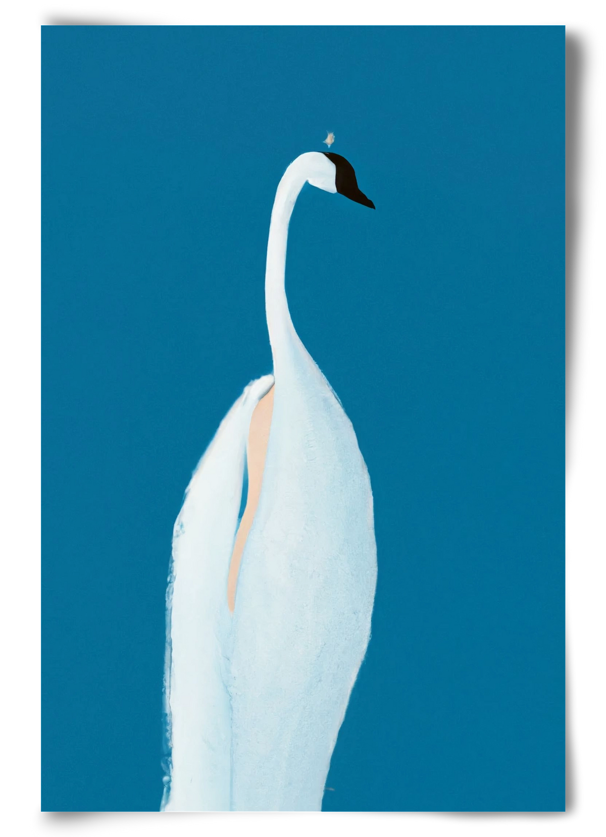 Swan maybe, 60x90 cm, Keret nélkül