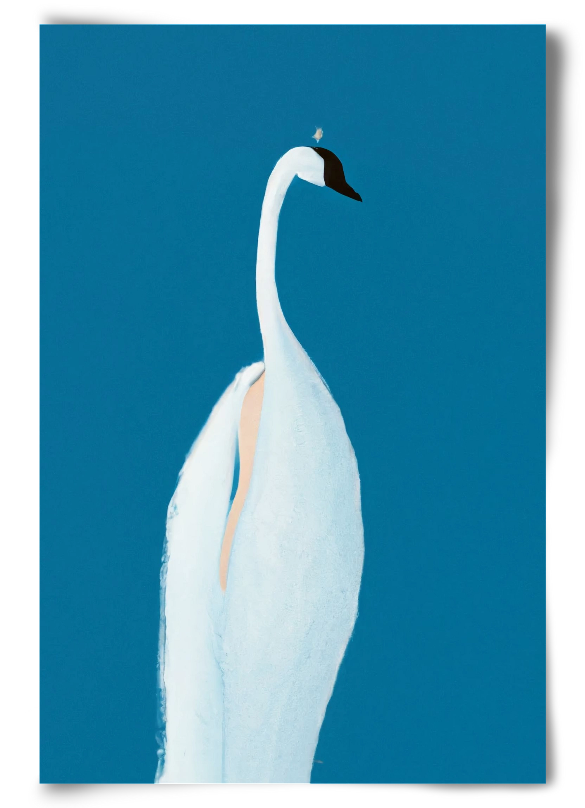 Swan maybe, 60x90 cm, Keret nélkül