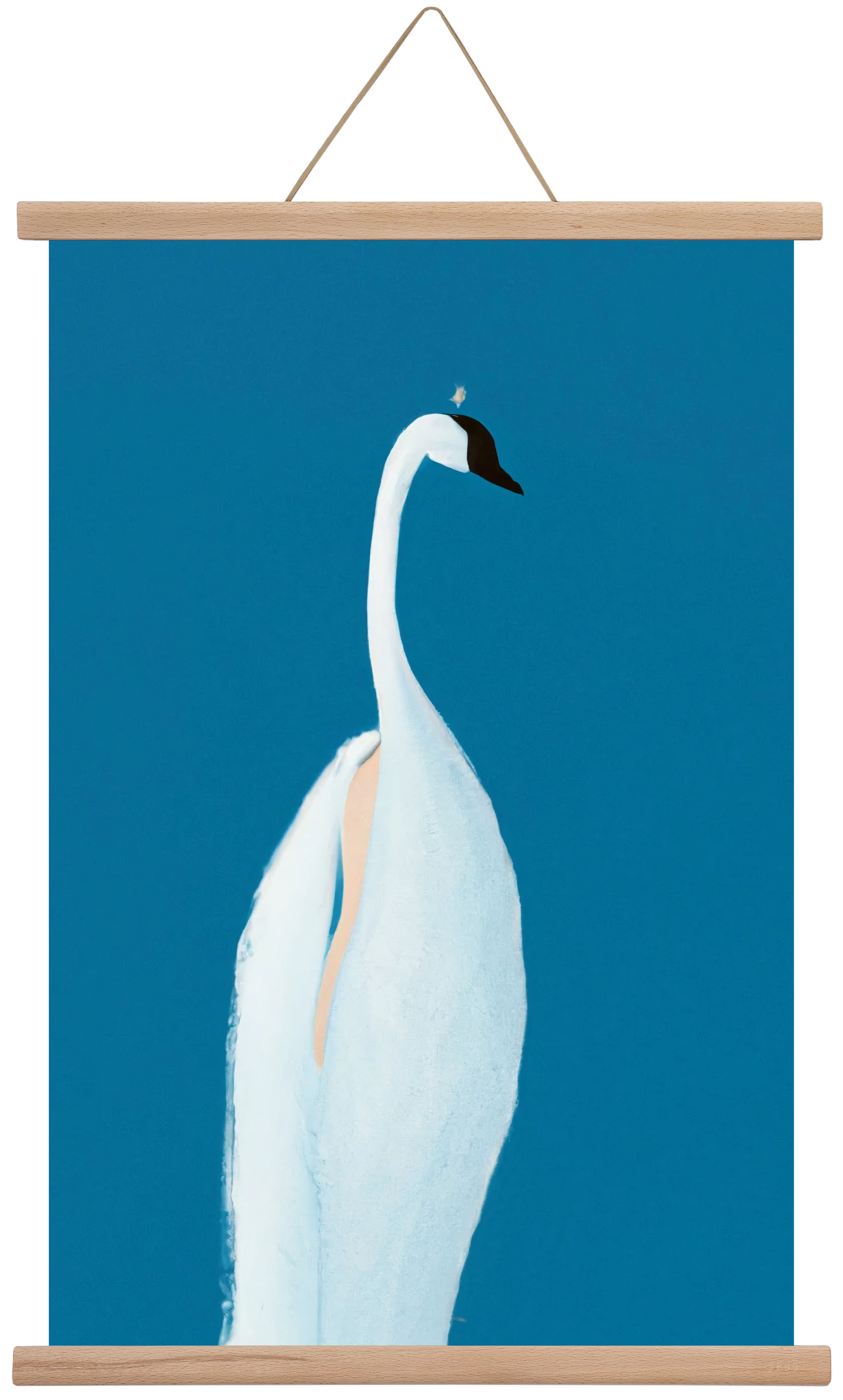 Swan maybe, 40x60 cm (40x60 cm), Tölgy akasztó