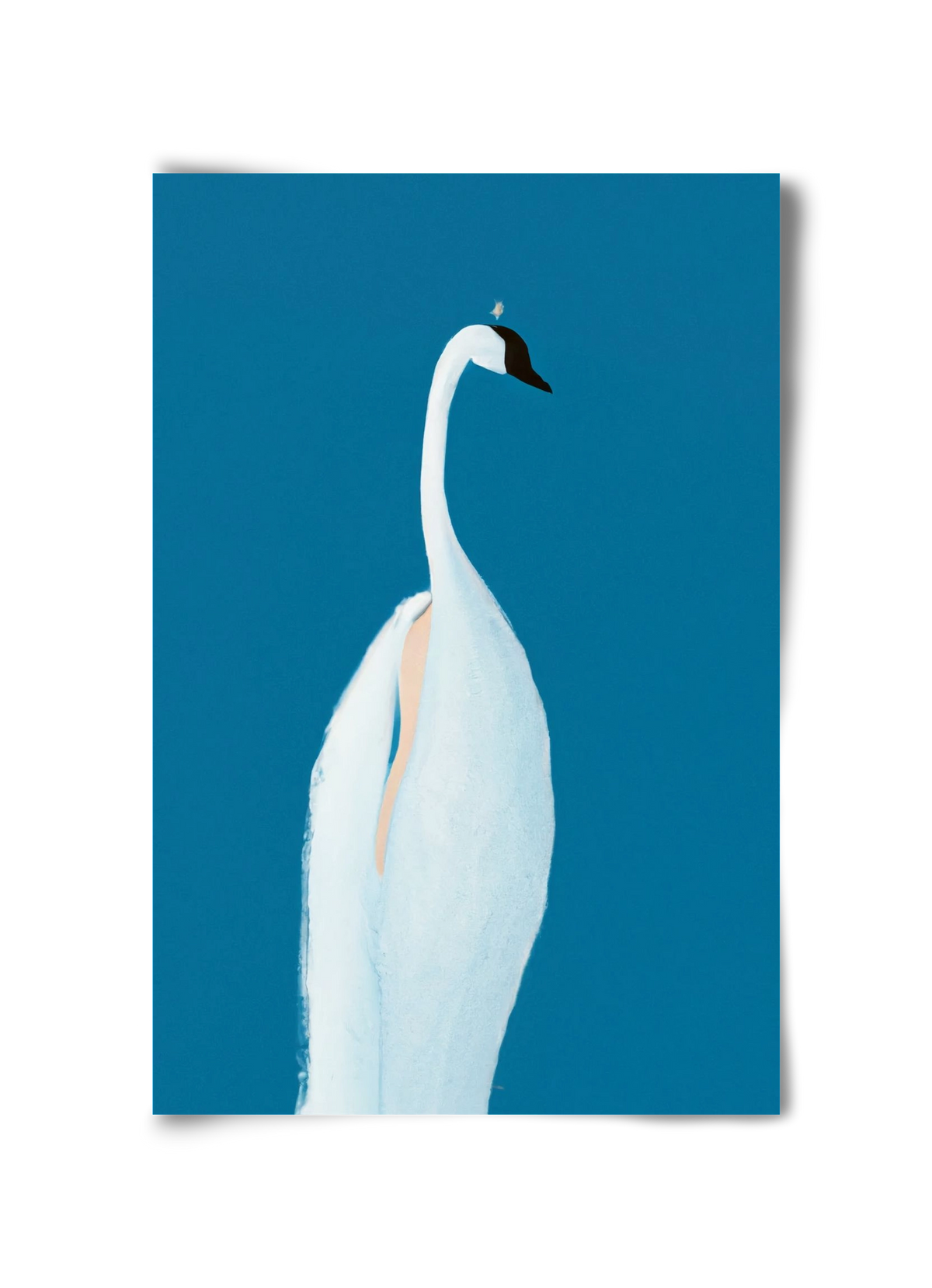 Swan maybe, 30x45 cm, Keret nélkül