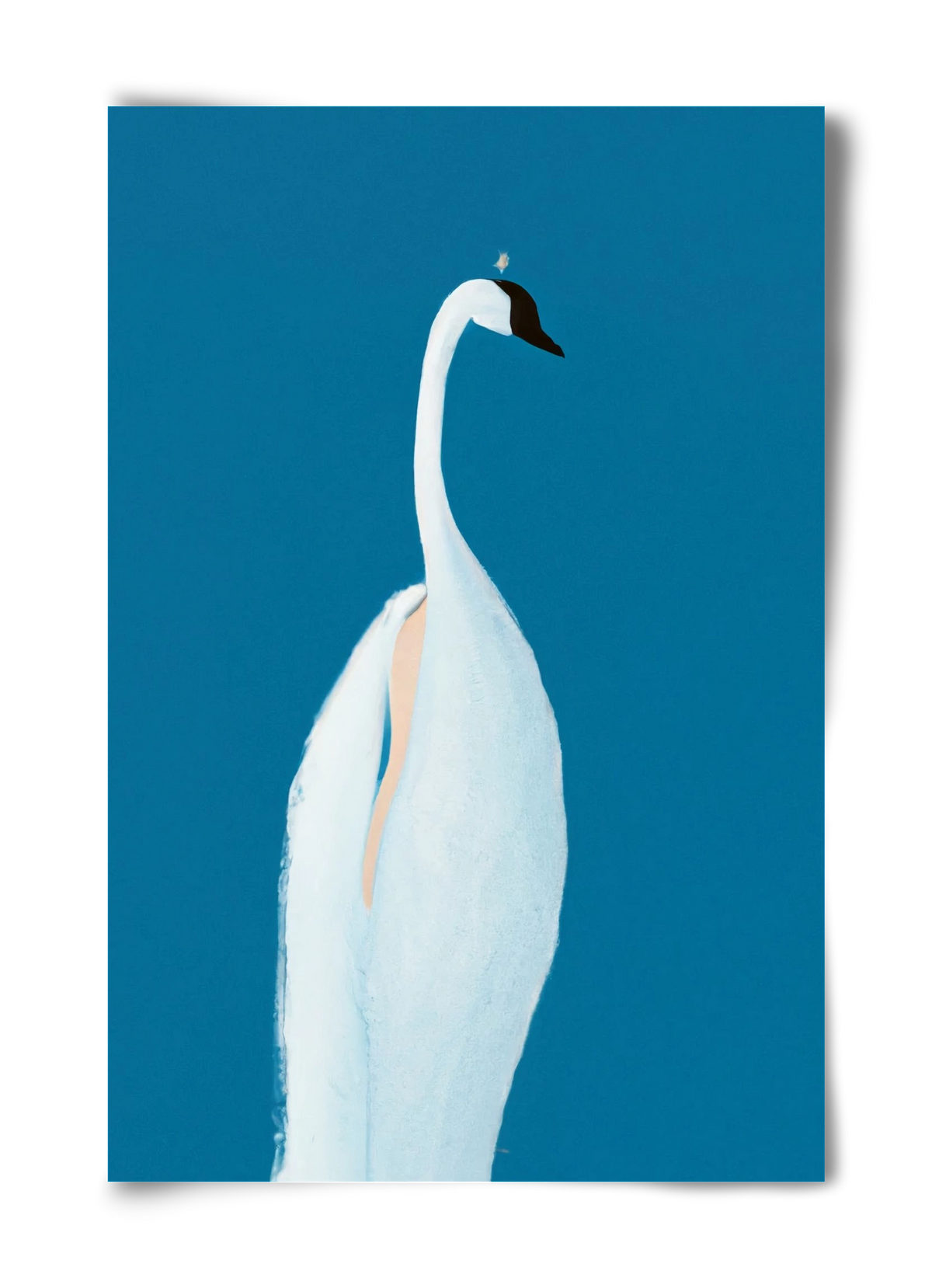 Swan maybe, 40x60 cm, Keret nélkül