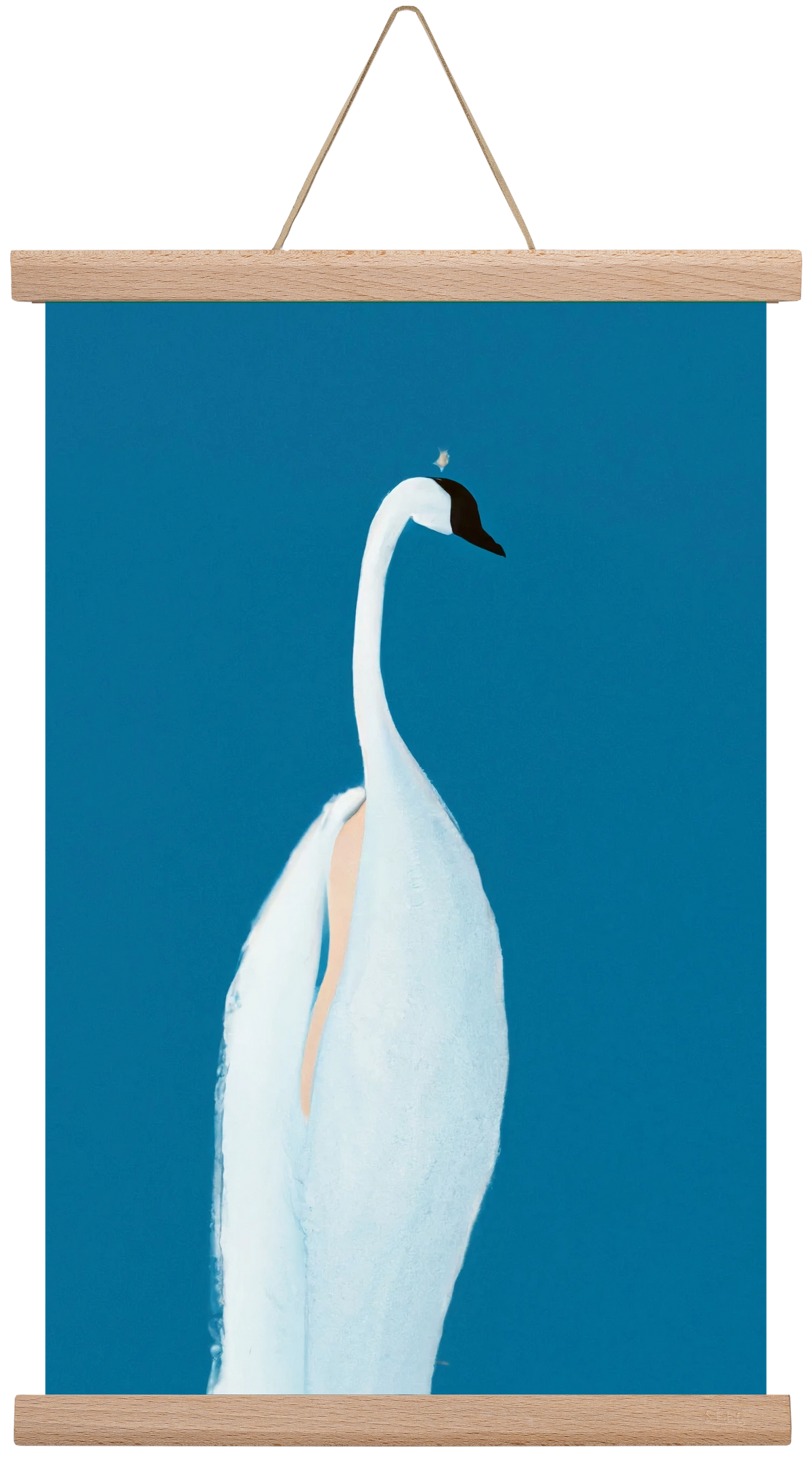 Swan maybe, 30x45 cm (30x45 cm), Tölgy akasztó